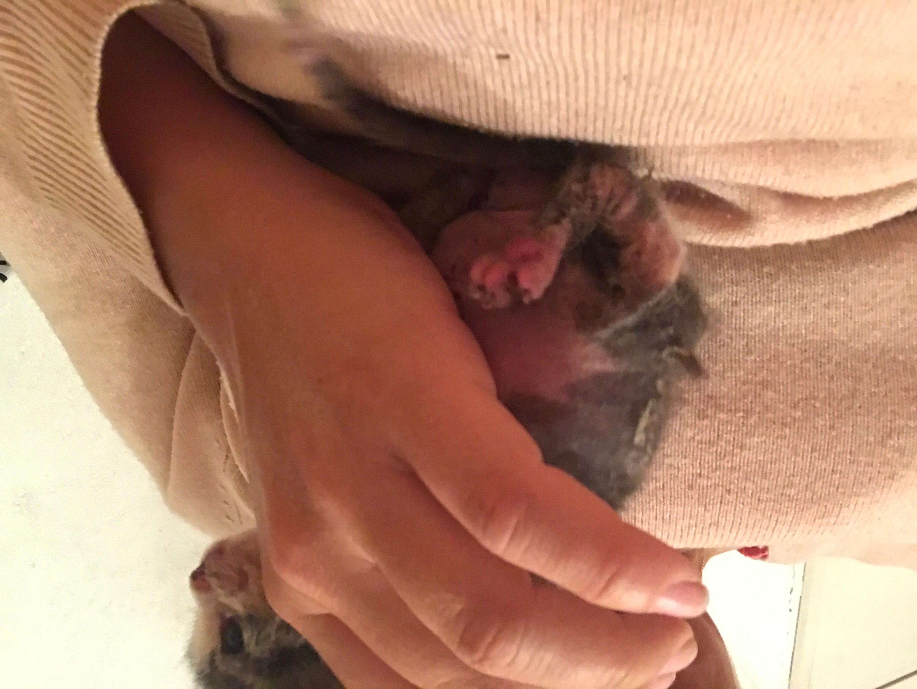 Question details sensitive content