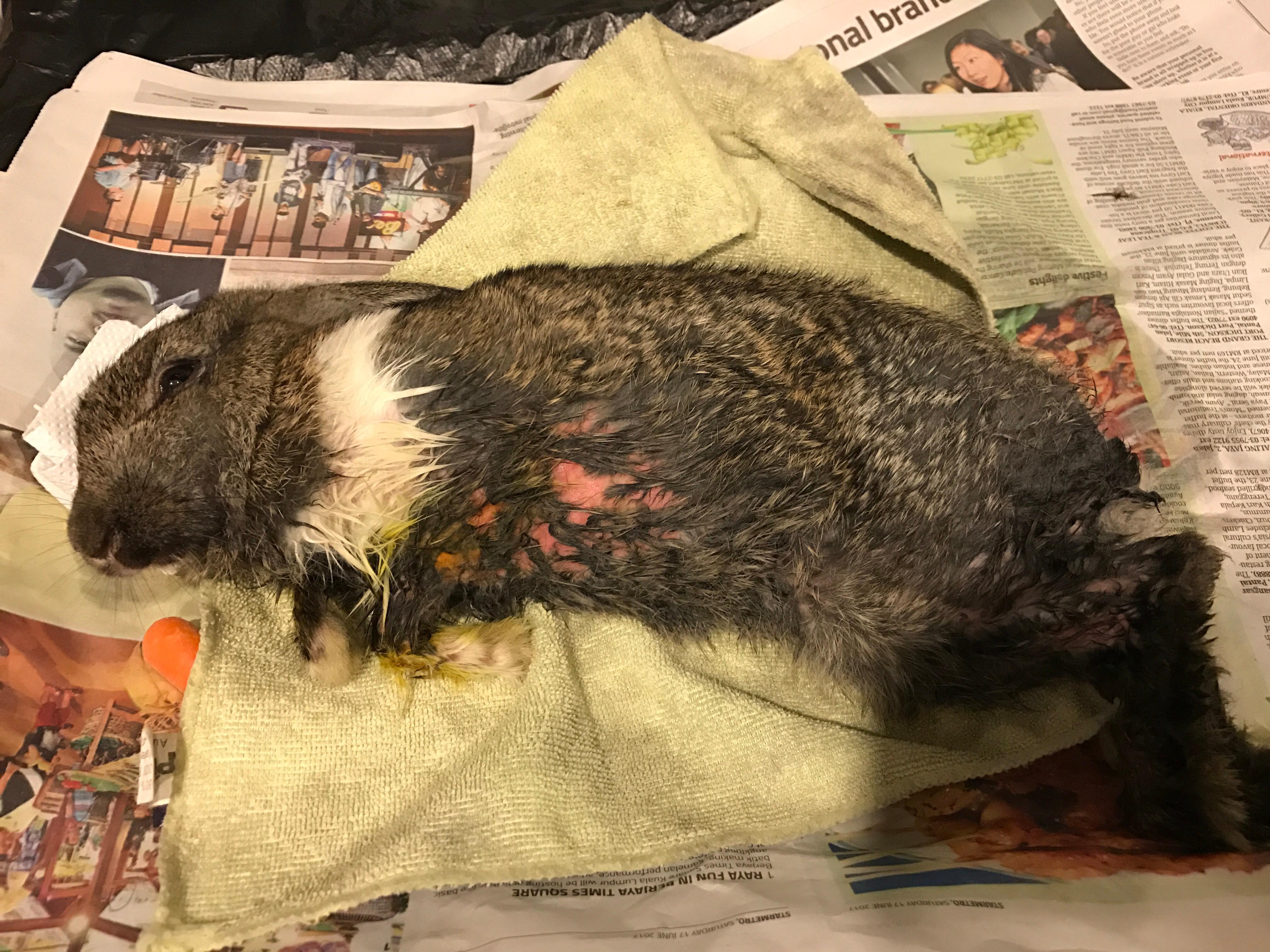 Question details sensitive content