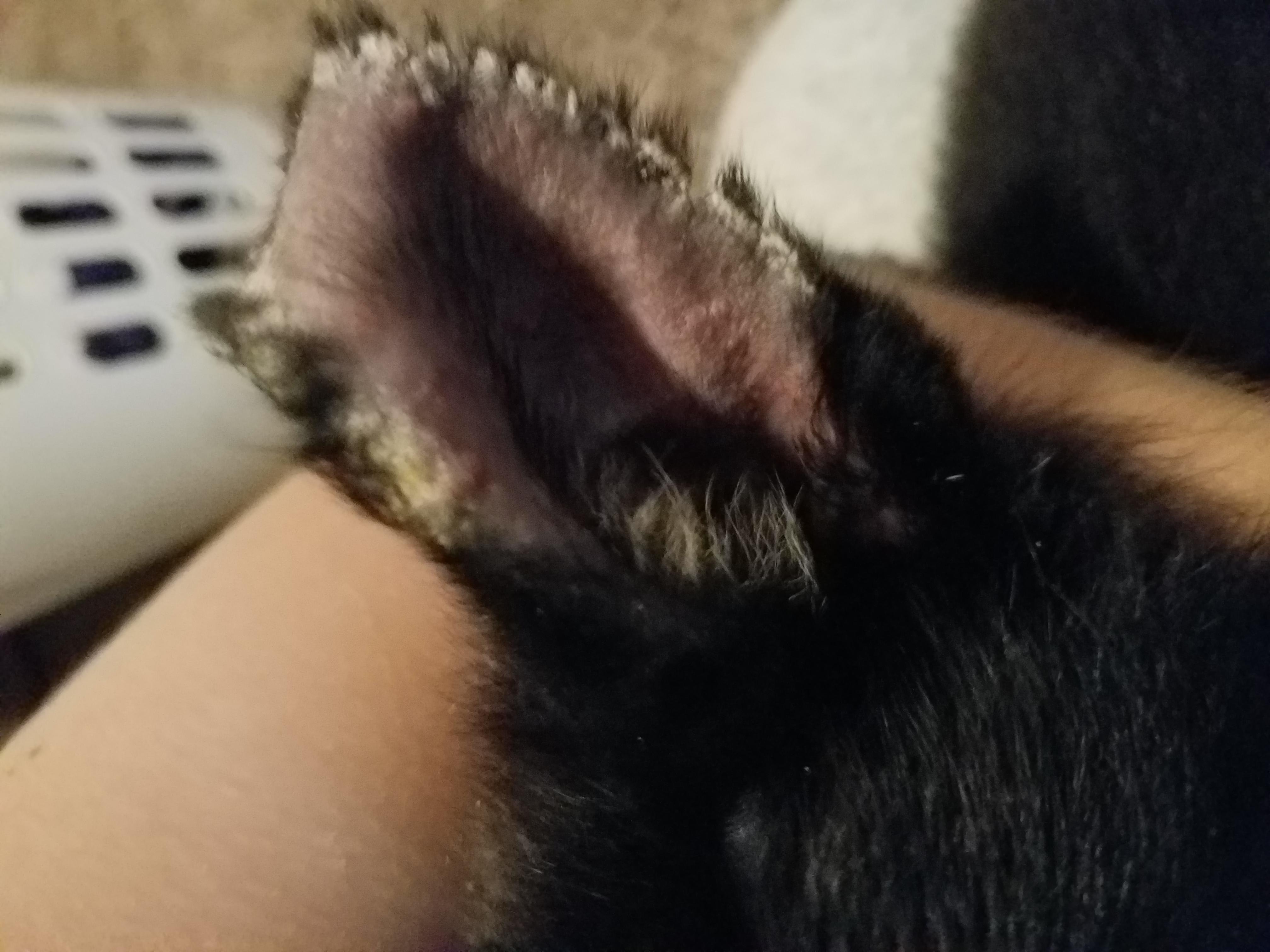 Question details sensitive content