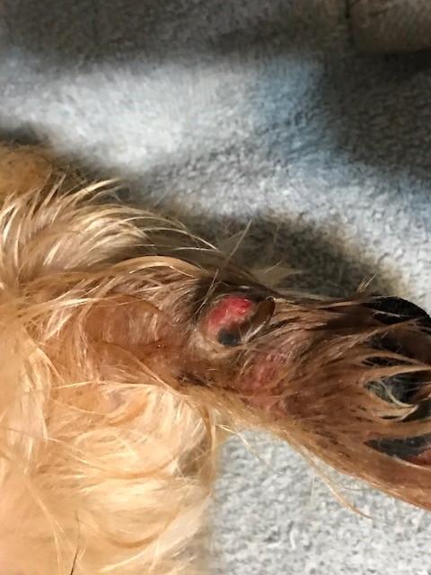 Question details sensitive content