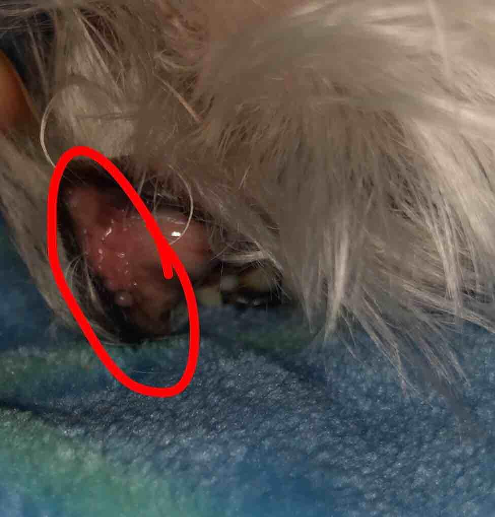 Question details sensitive content