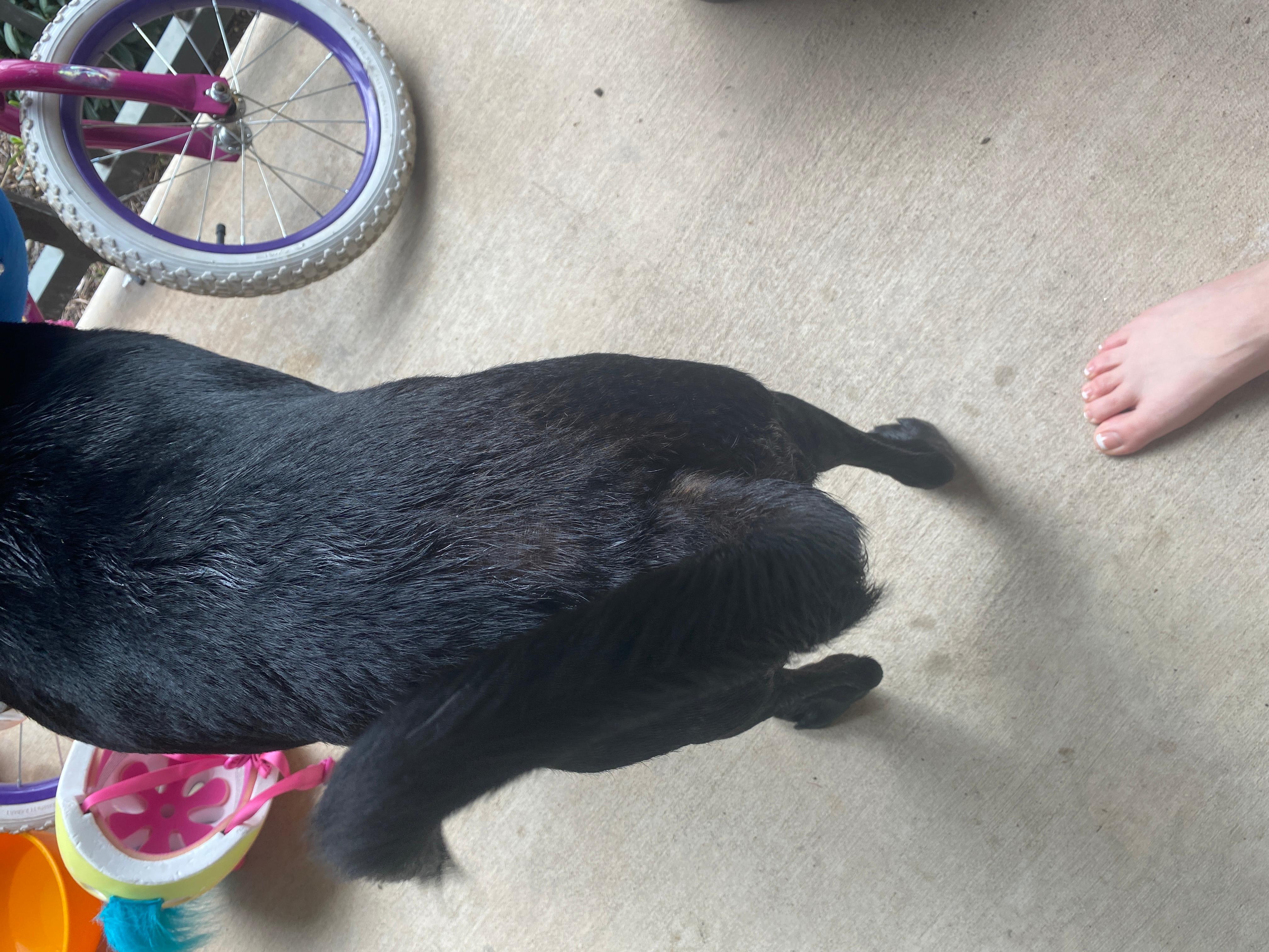 Question details sensitive content