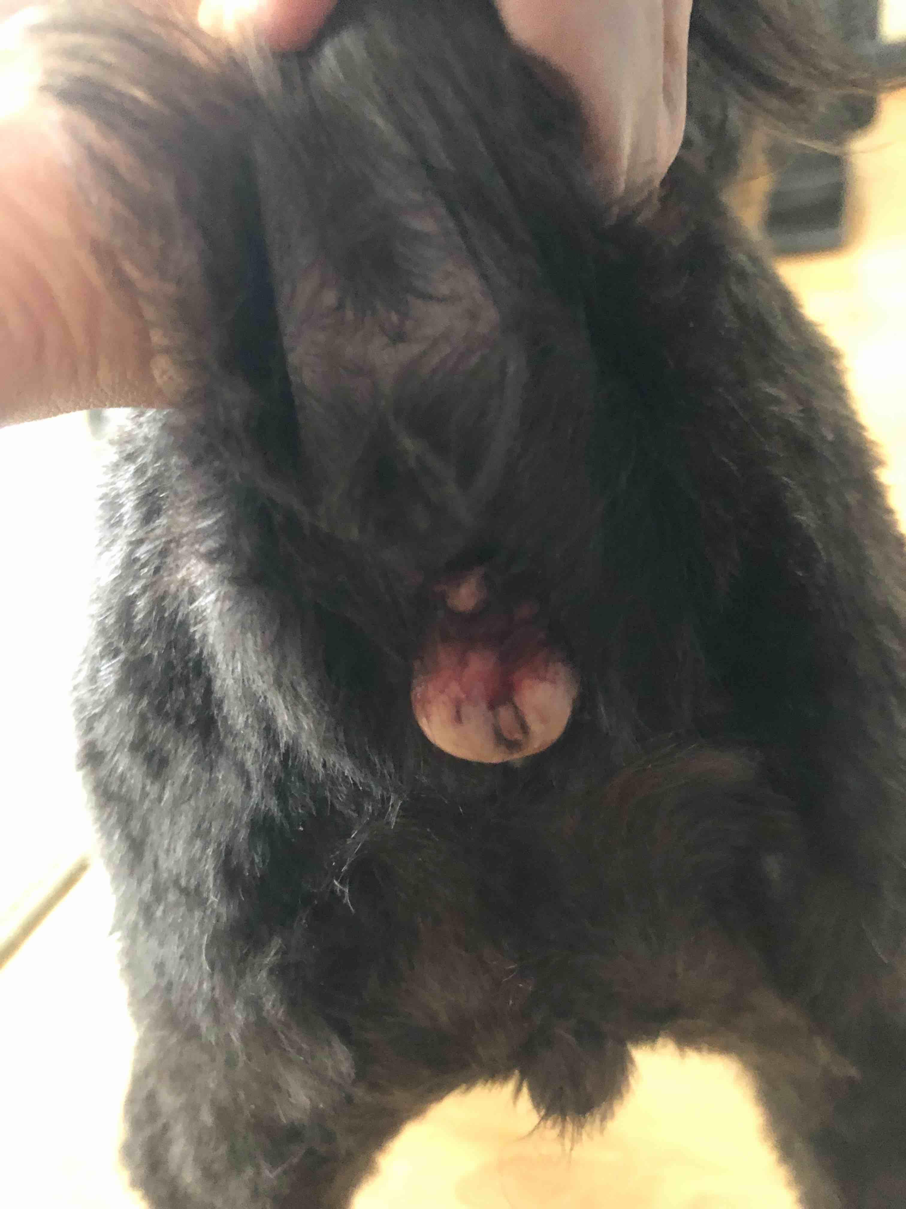 Question details sensitive content