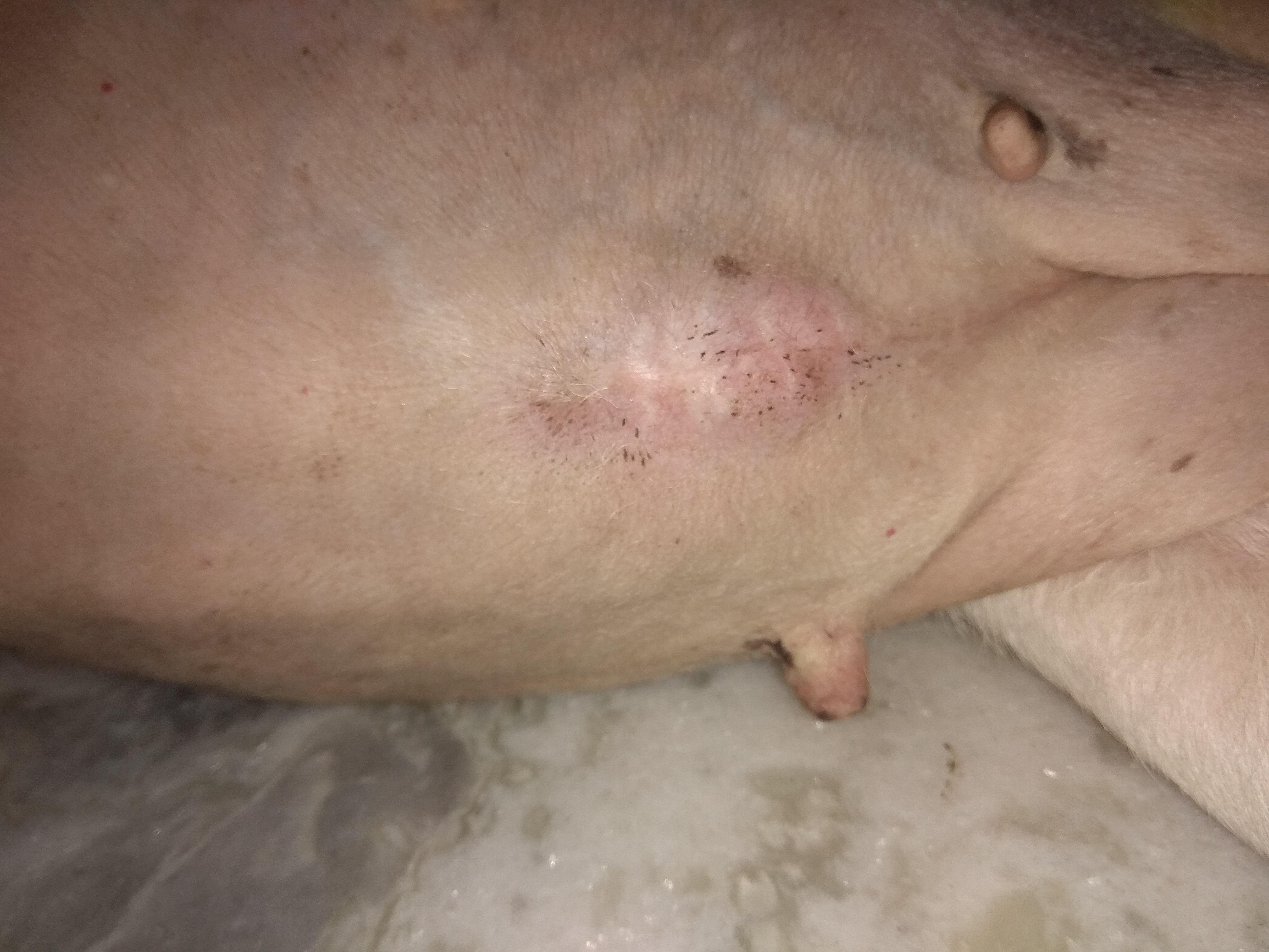 Question details sensitive content