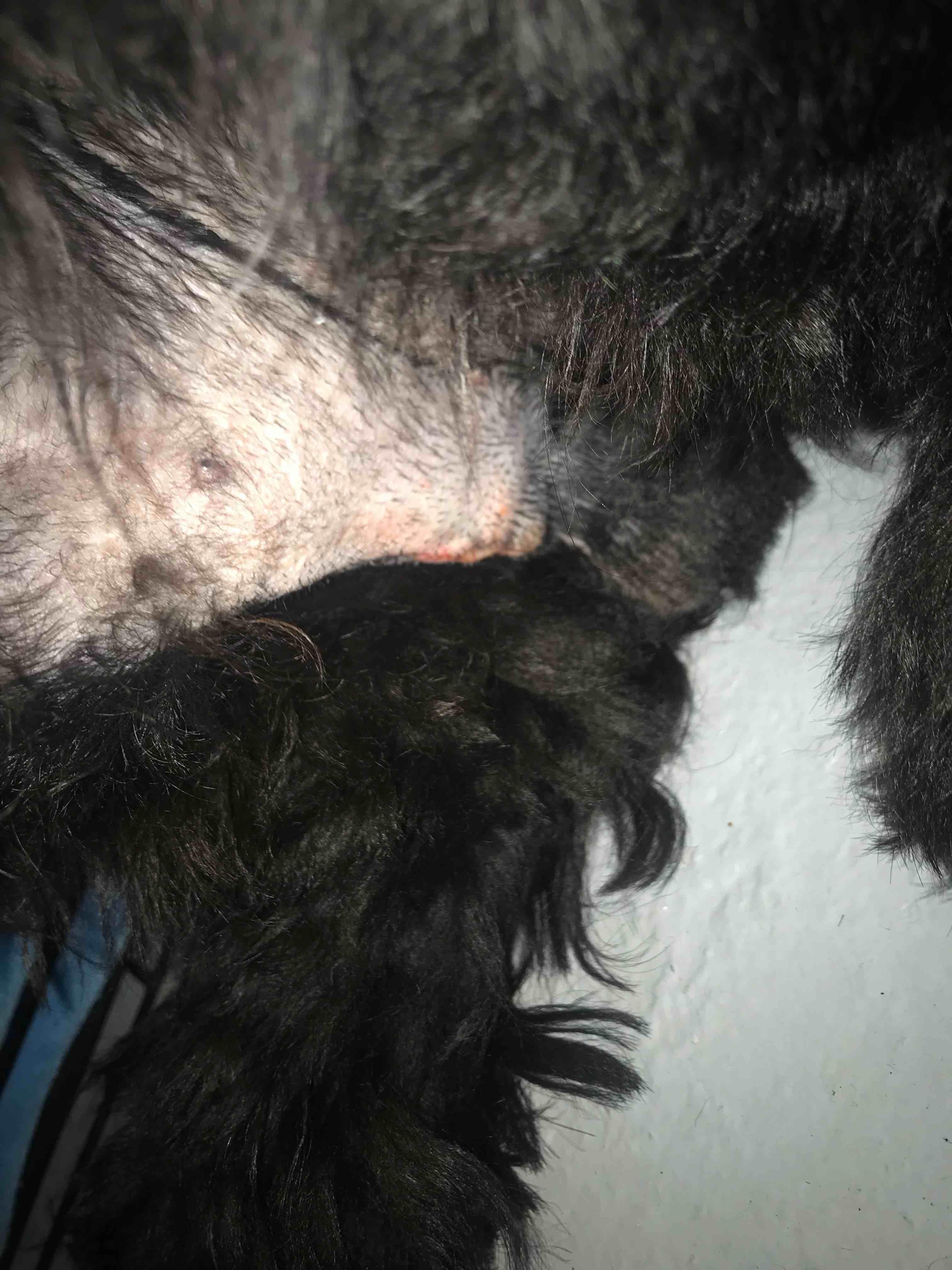 Question details sensitive content