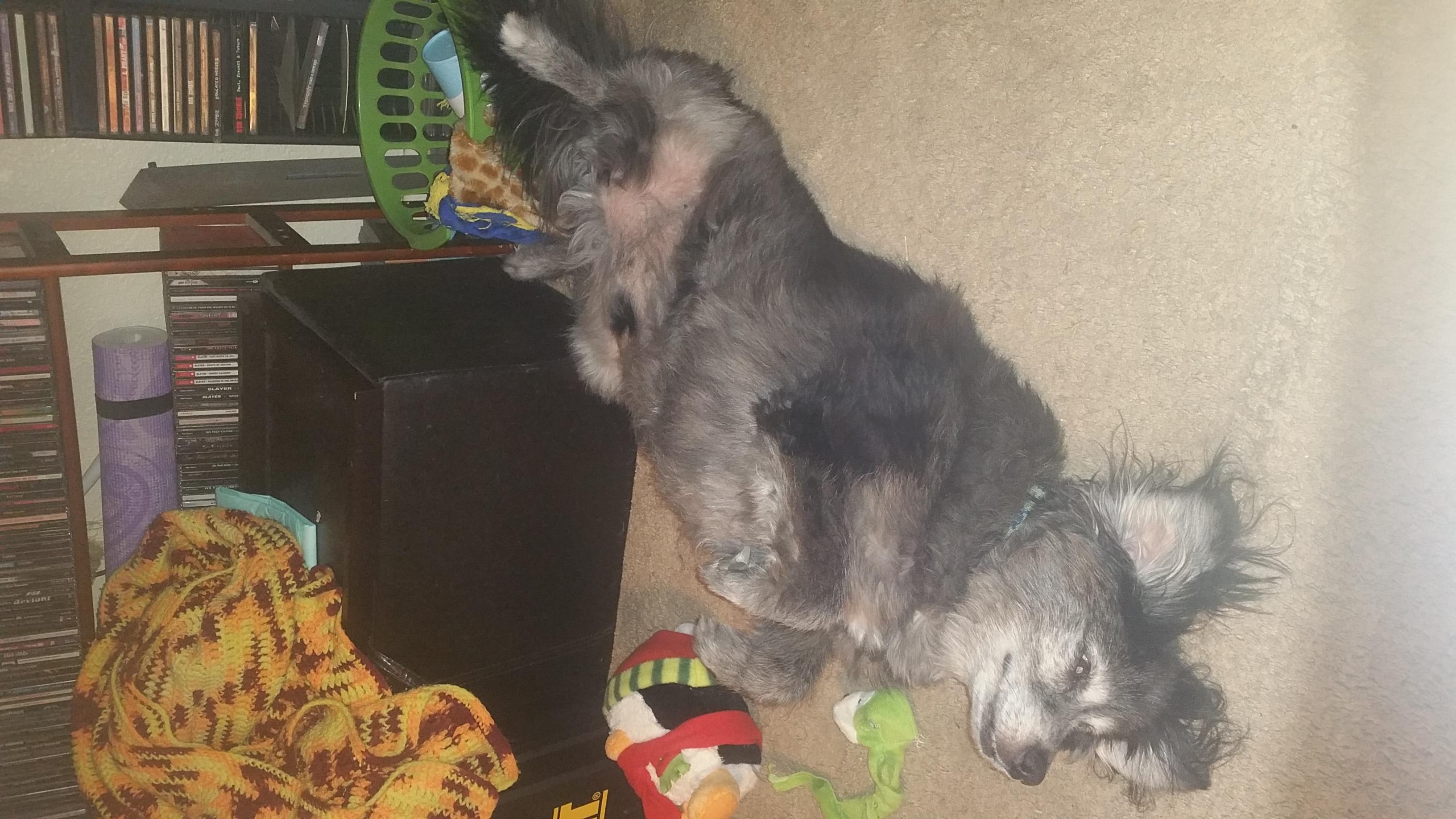 Question details sensitive content