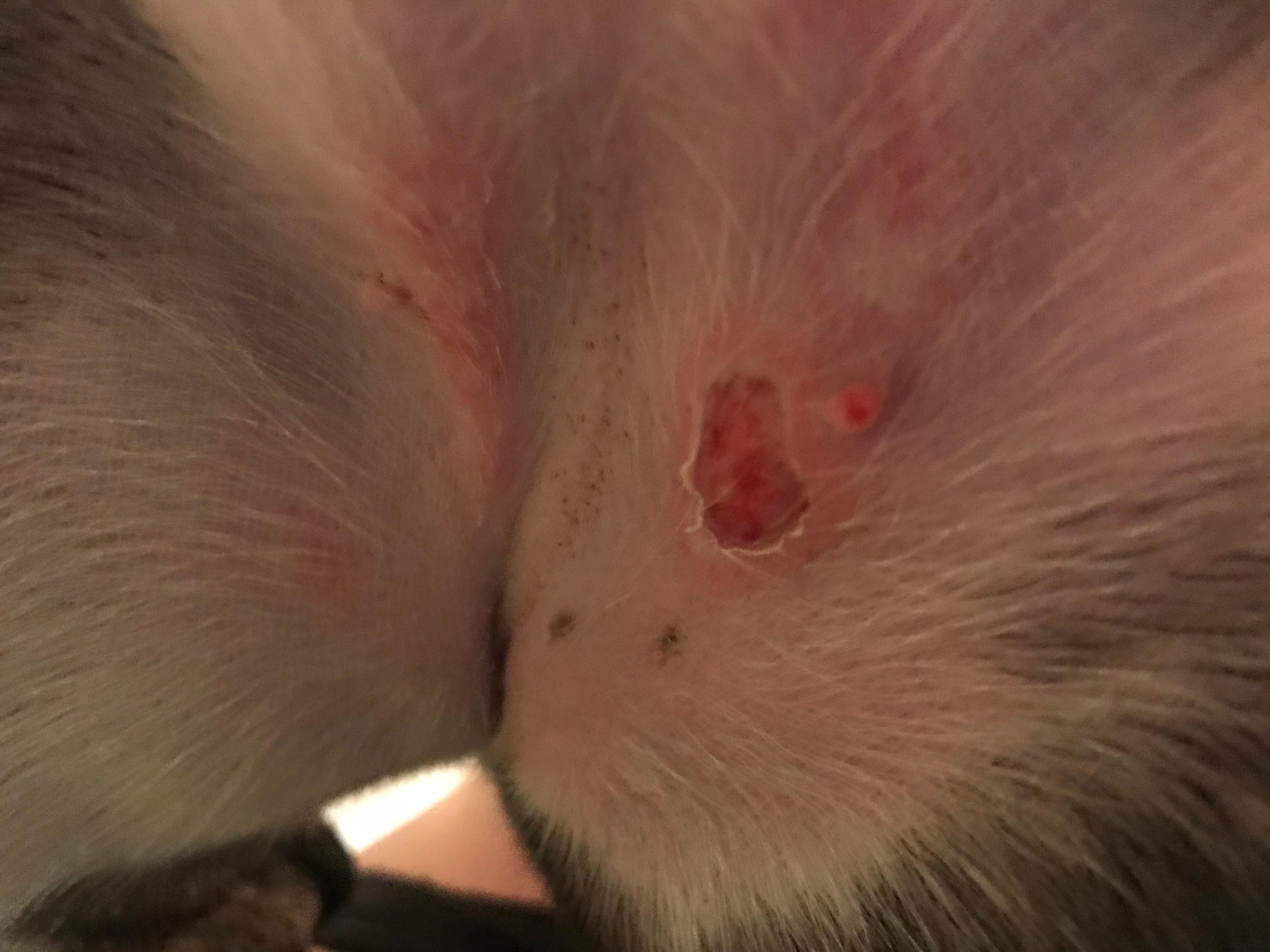 Question details sensitive content