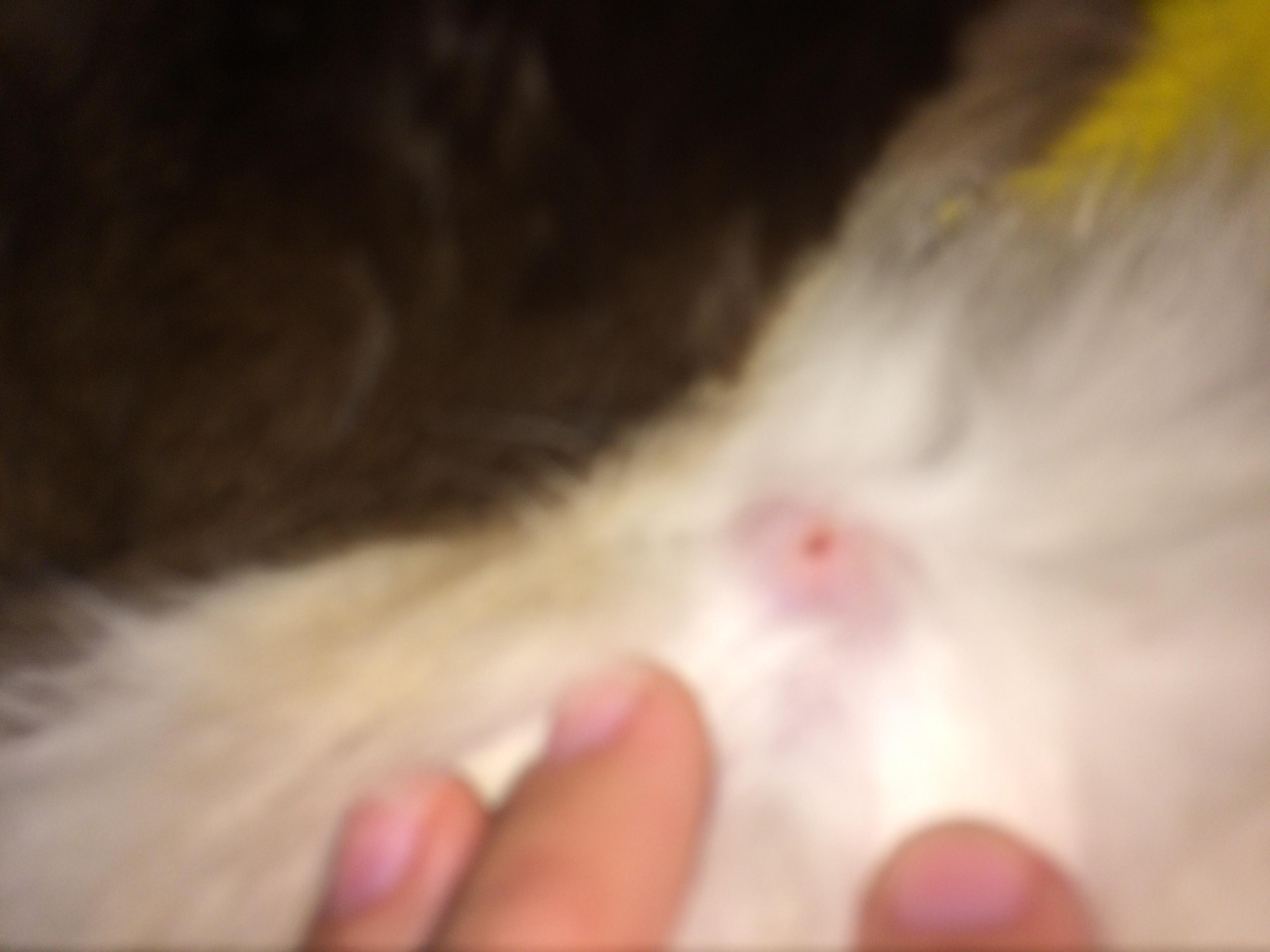 Question details sensitive content