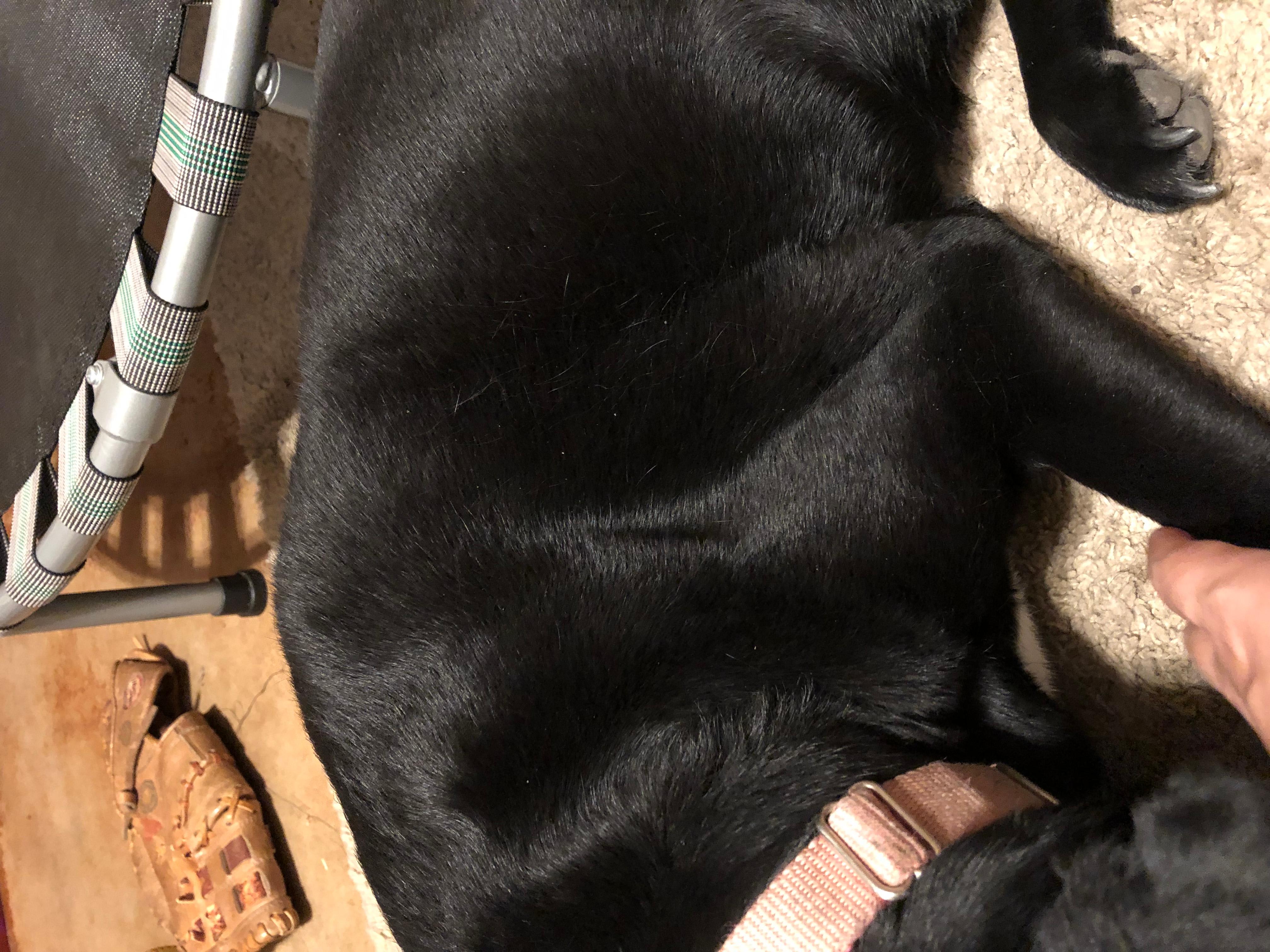 Question details sensitive content