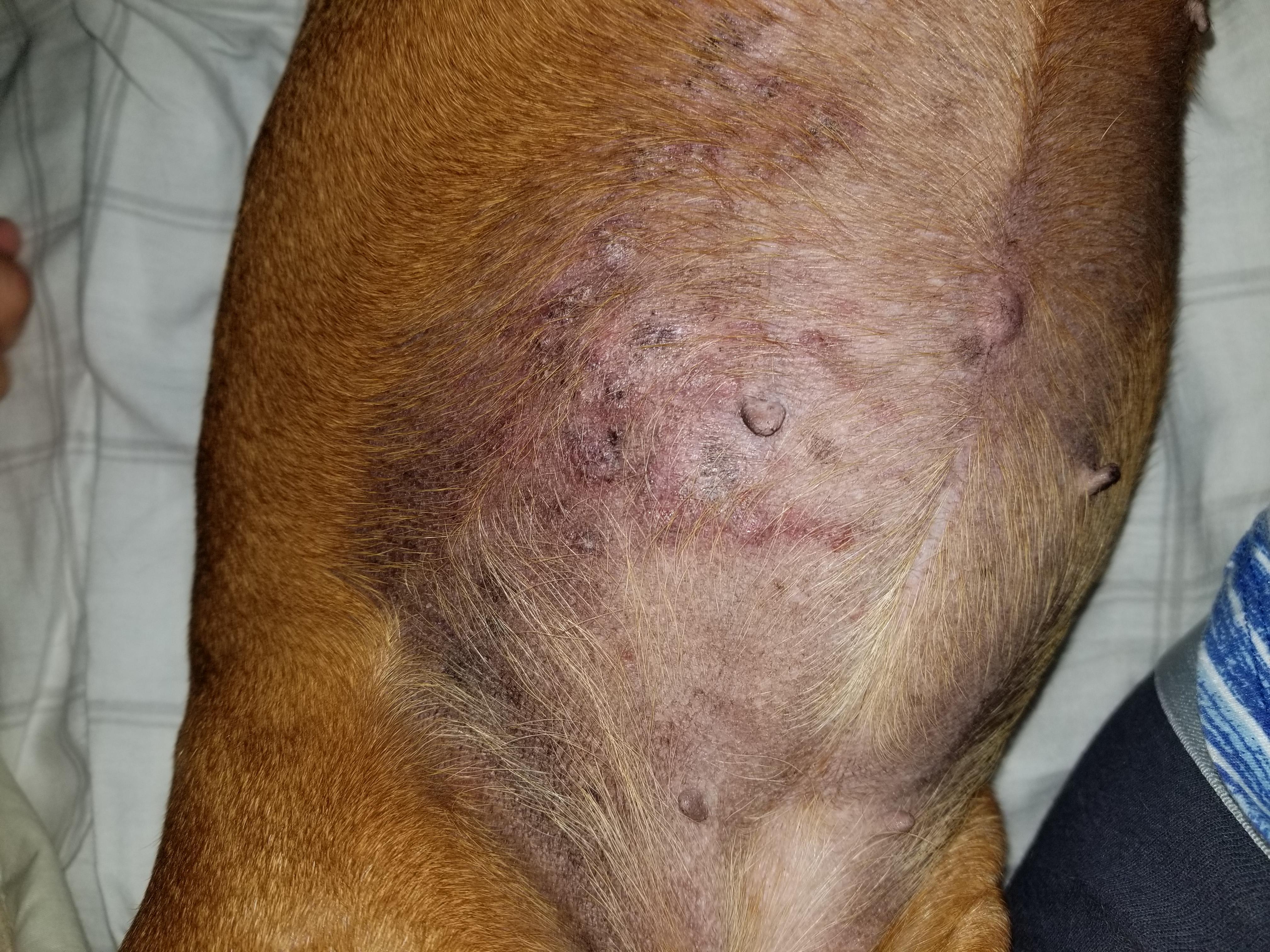 Question details sensitive content