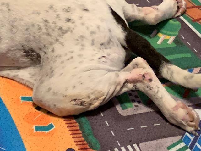 Question details sensitive content