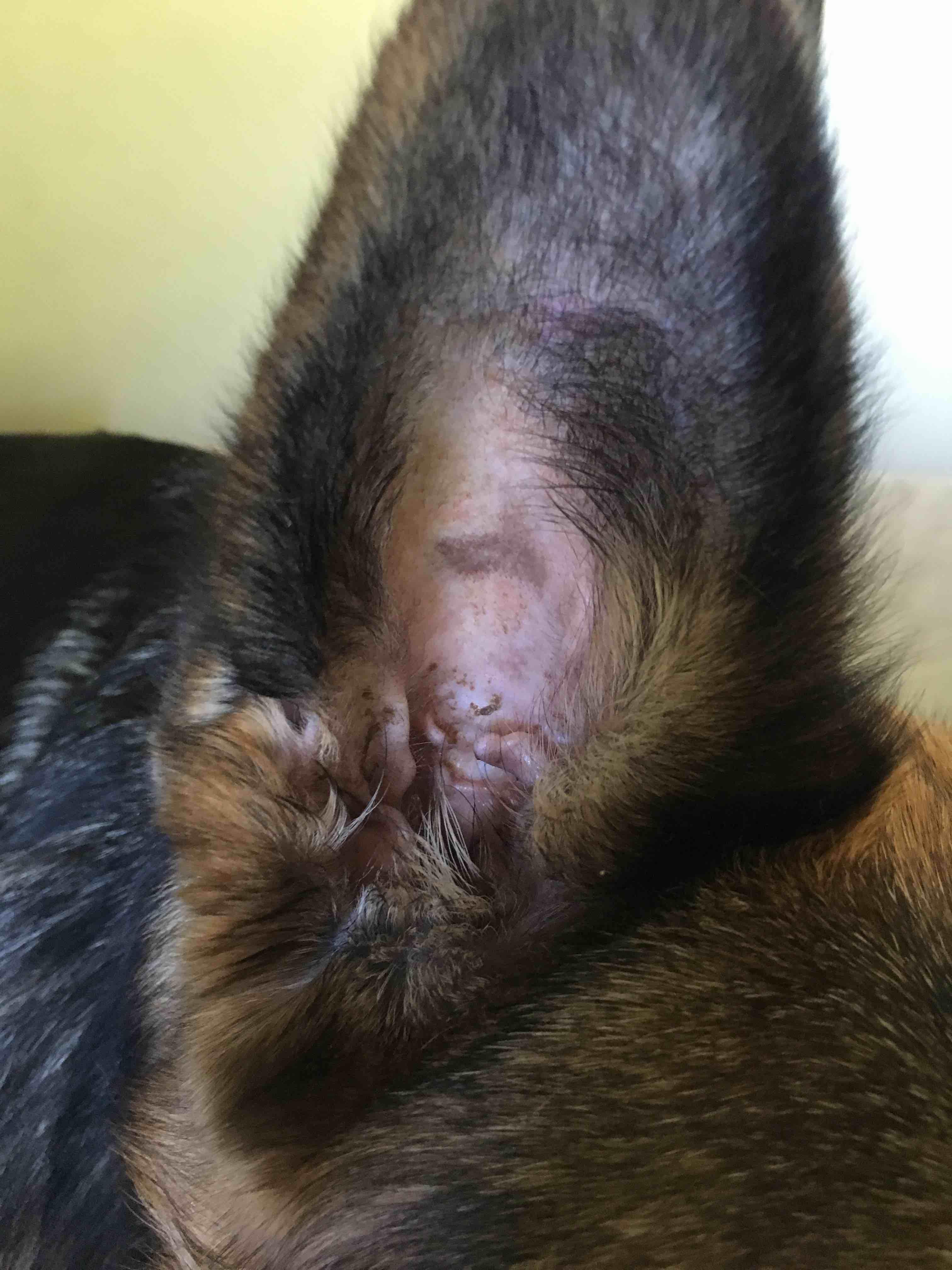 Question details sensitive content