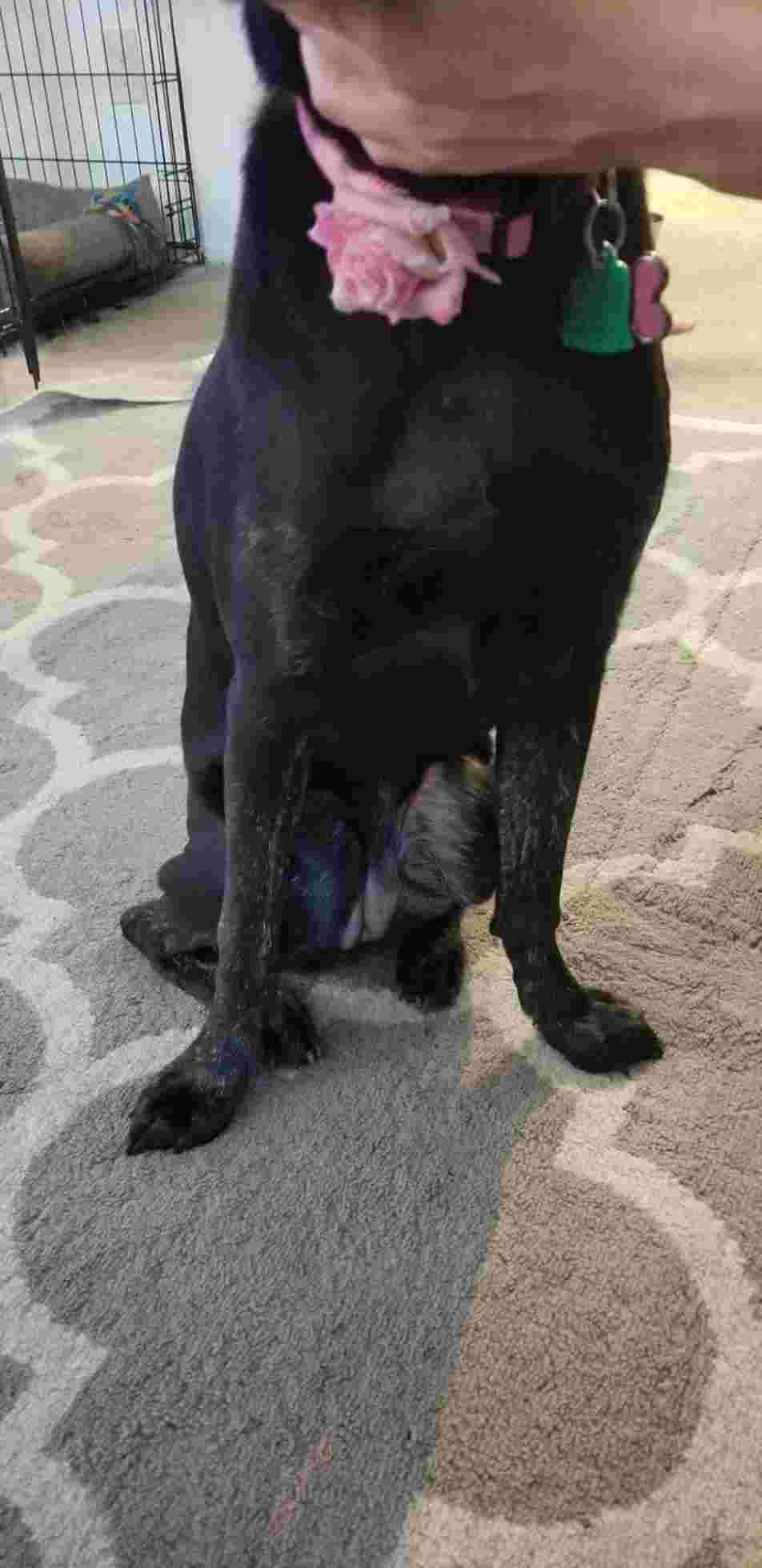 Question details sensitive content