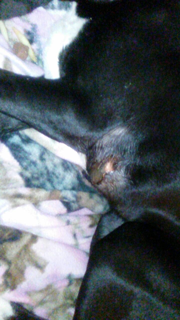 Question details sensitive content