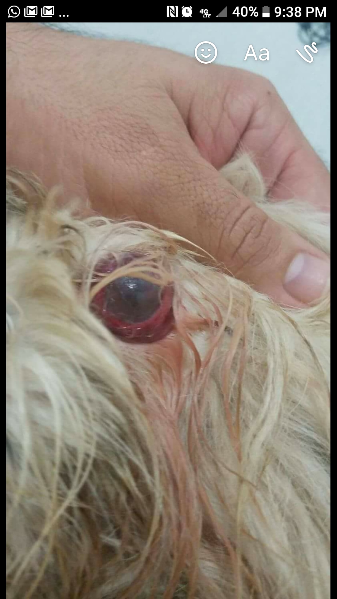 Question details sensitive content