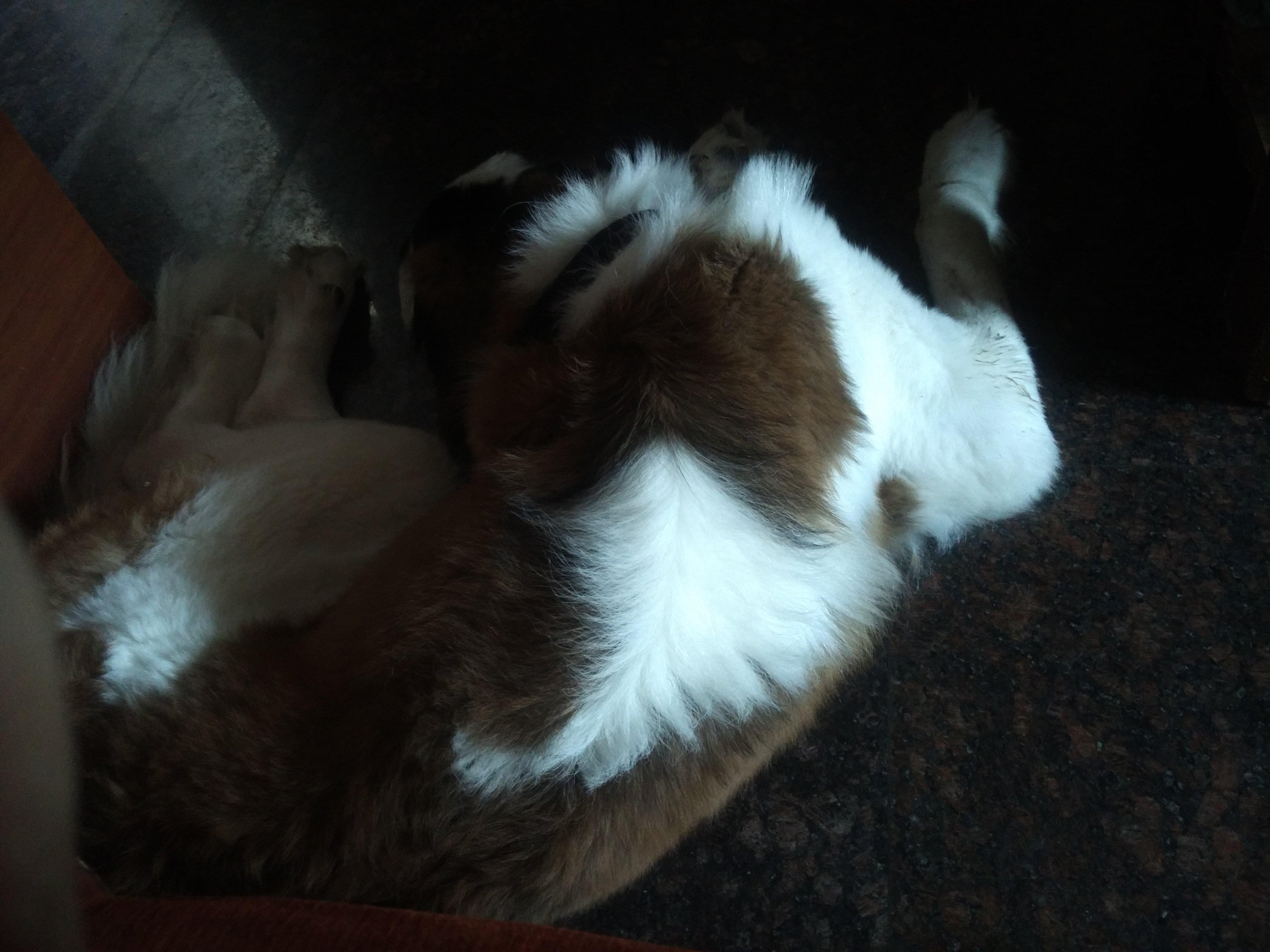 Question details sensitive content