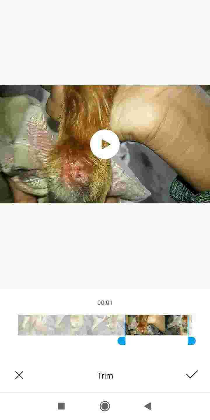 Question details sensitive content