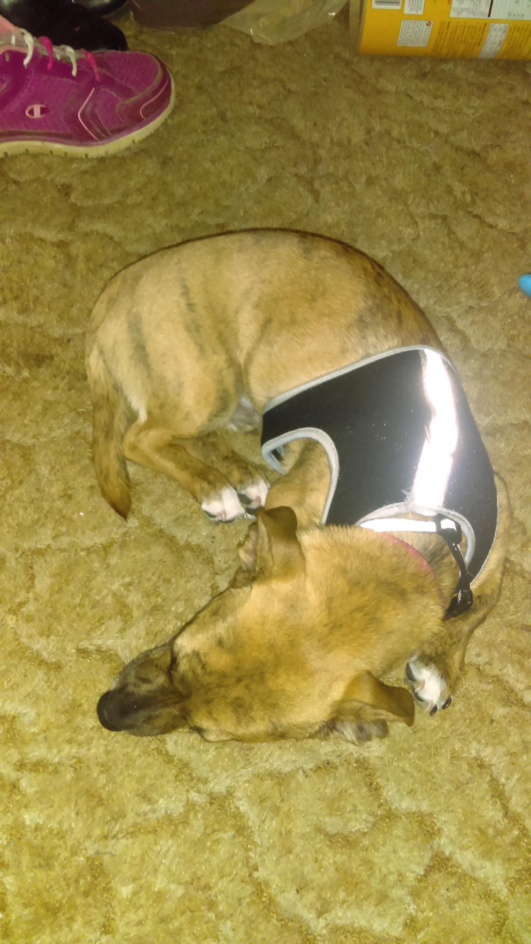 Question details sensitive content