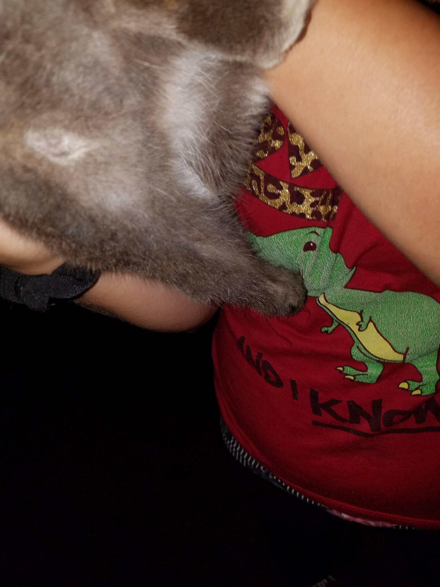 Question details sensitive content