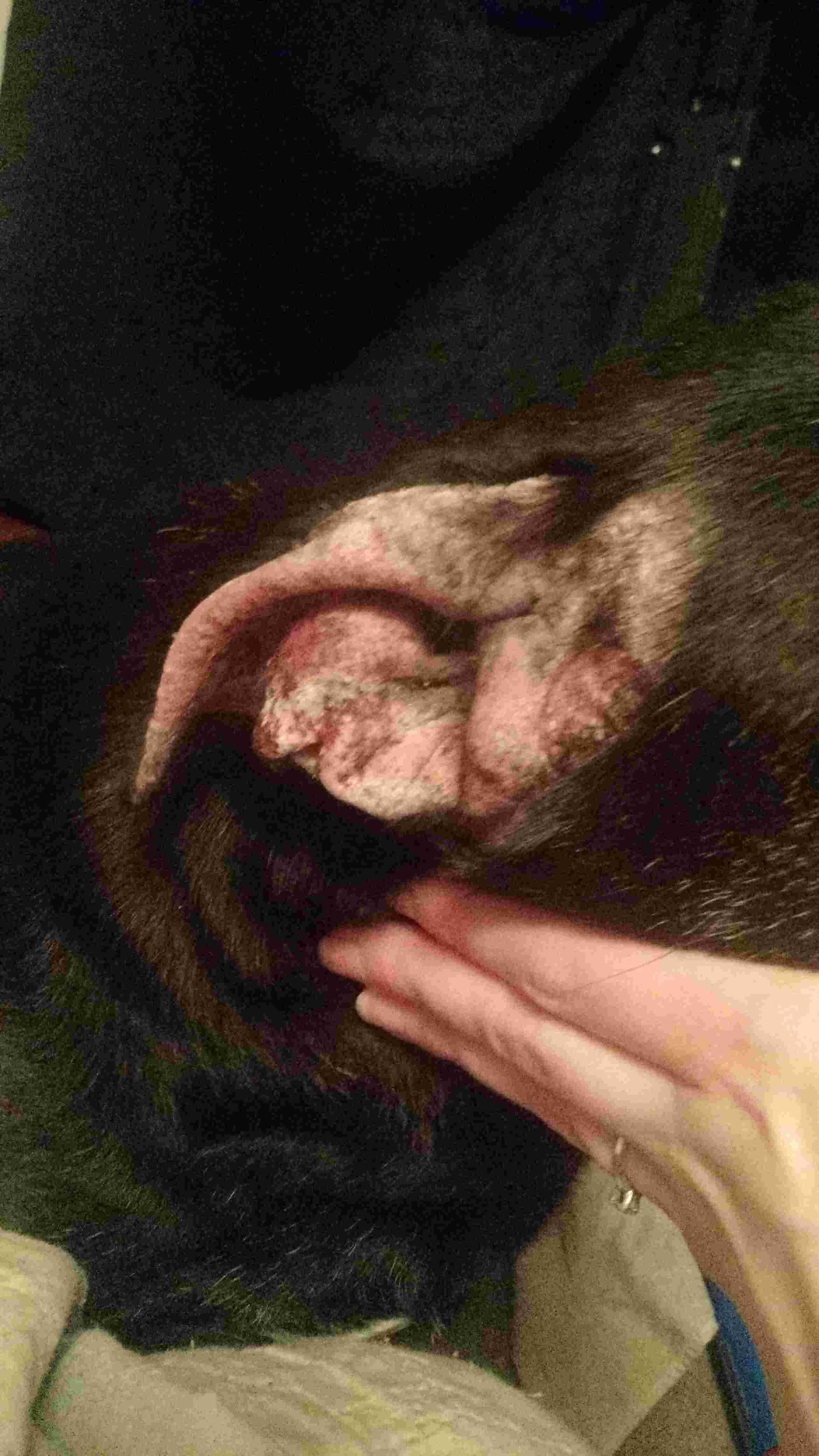 Question details sensitive content