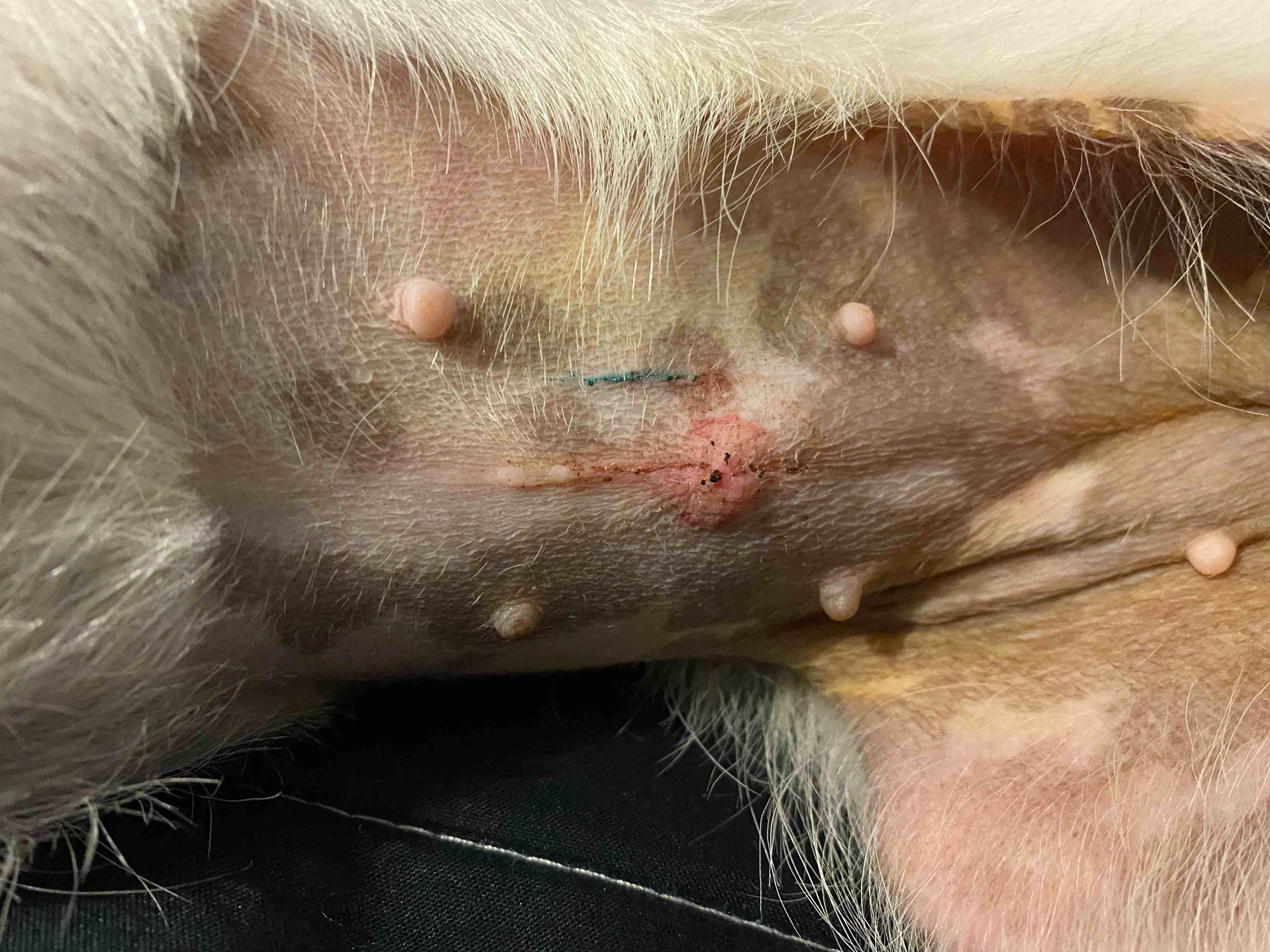 Question details sensitive content