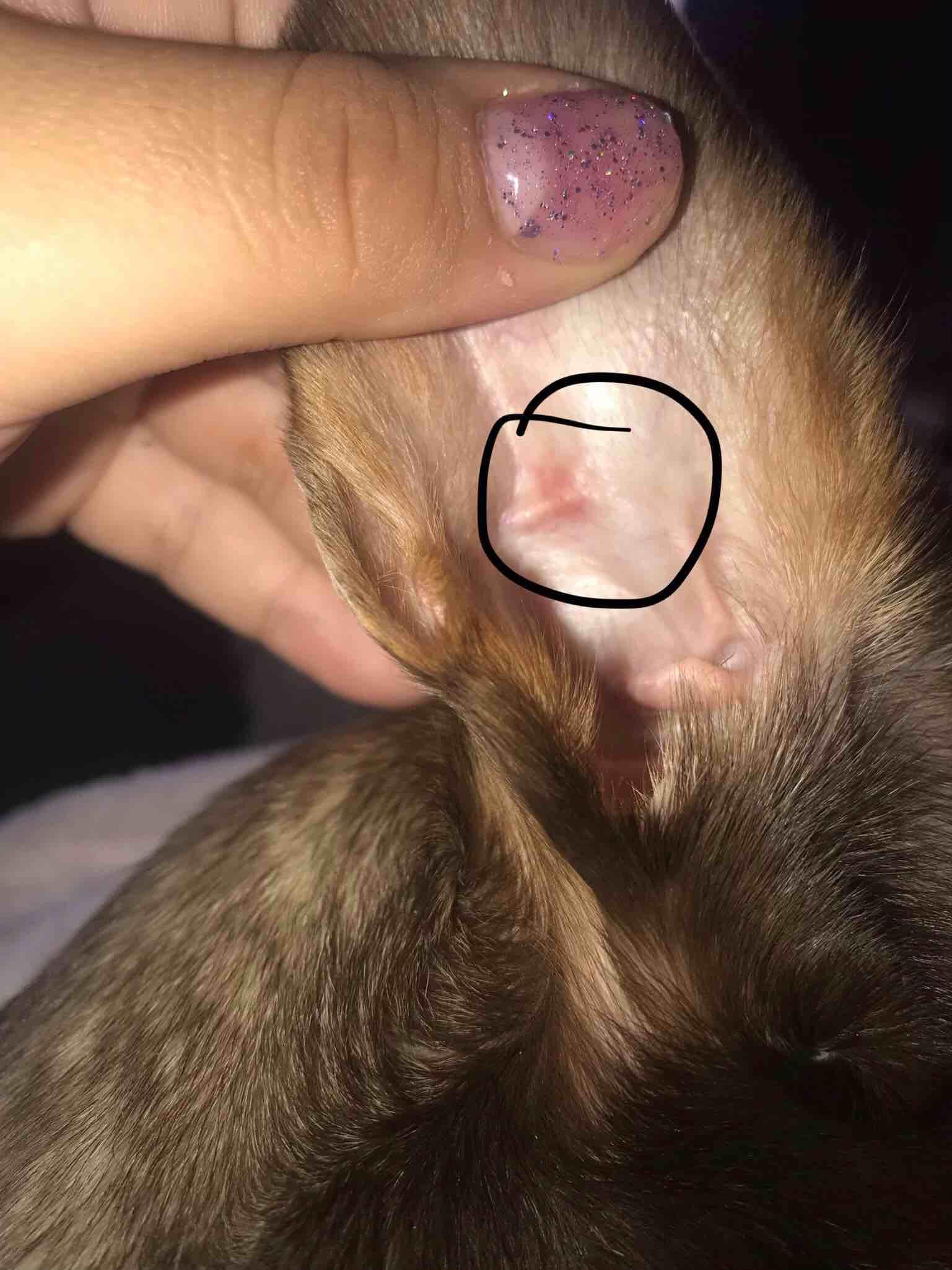 Question details sensitive content