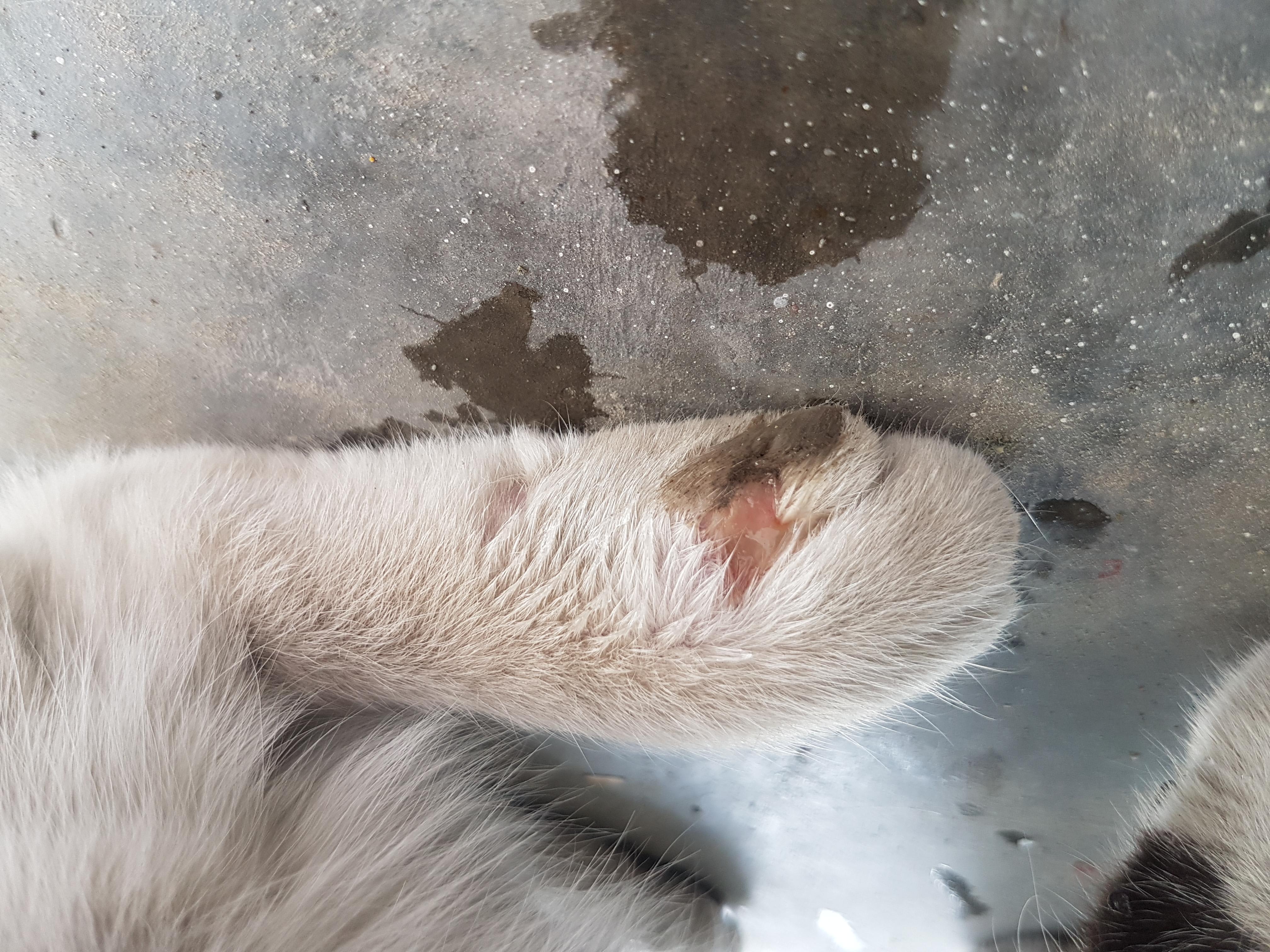 Question details sensitive content