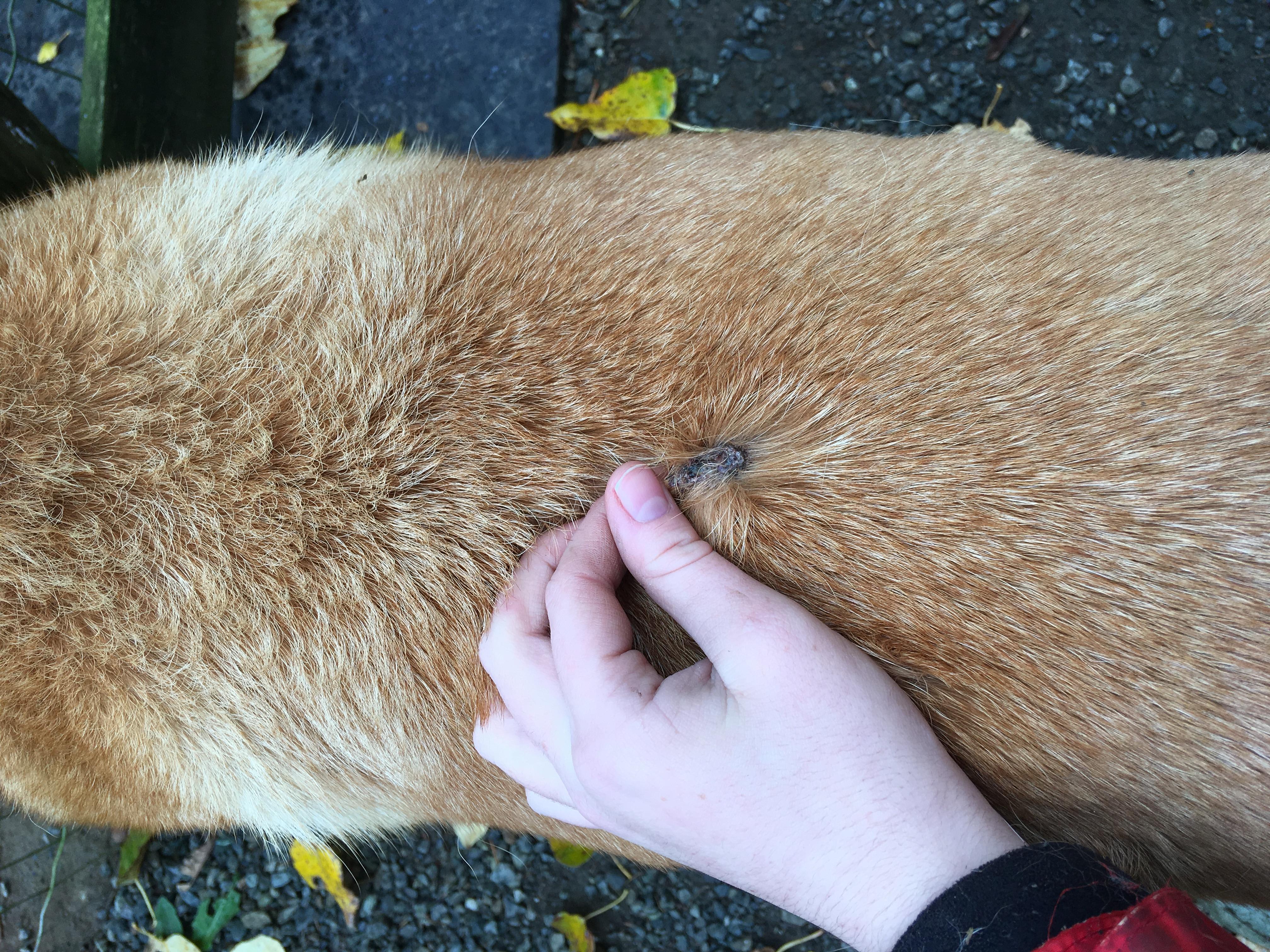 Question details sensitive content