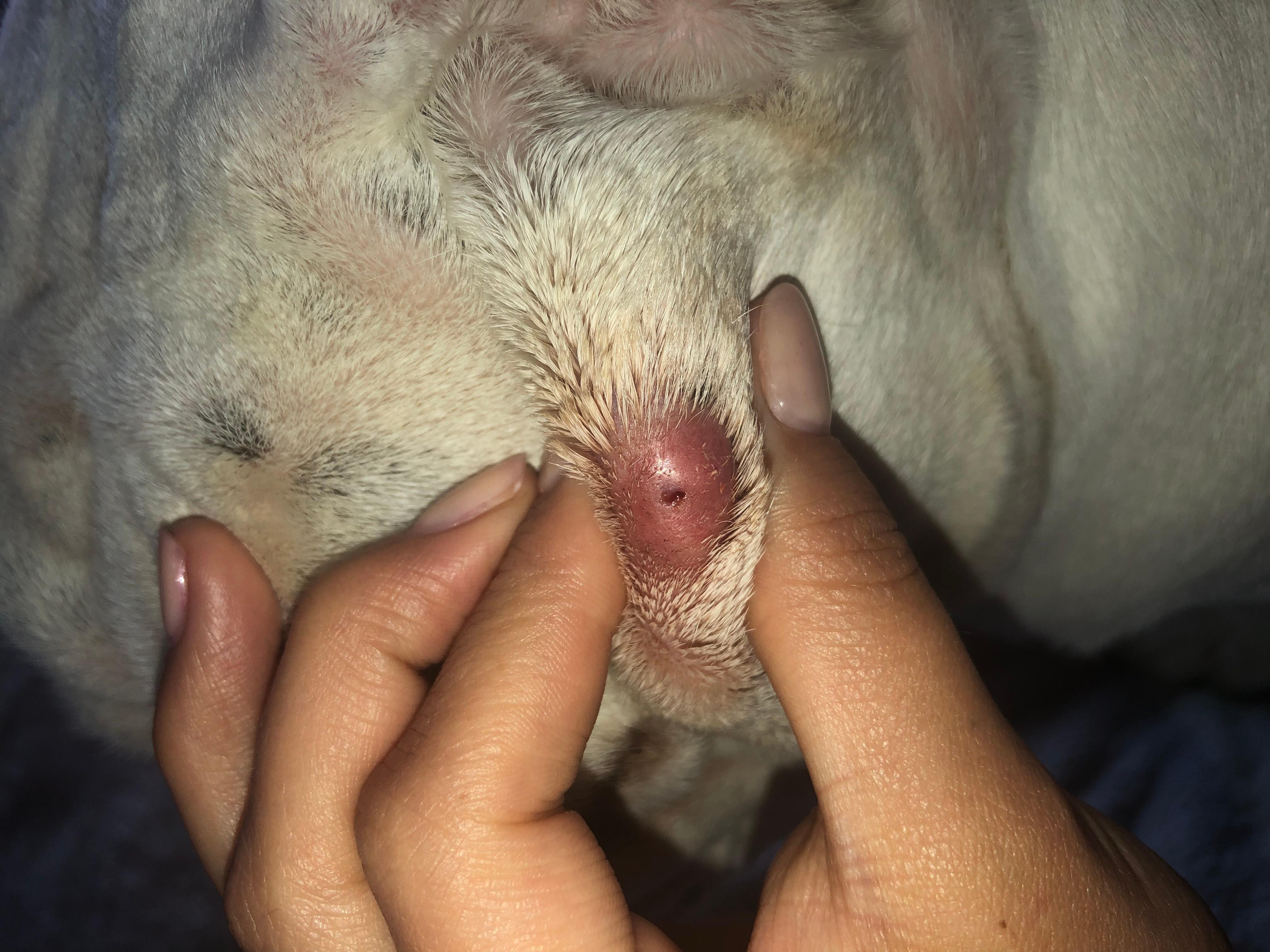 Question details sensitive content