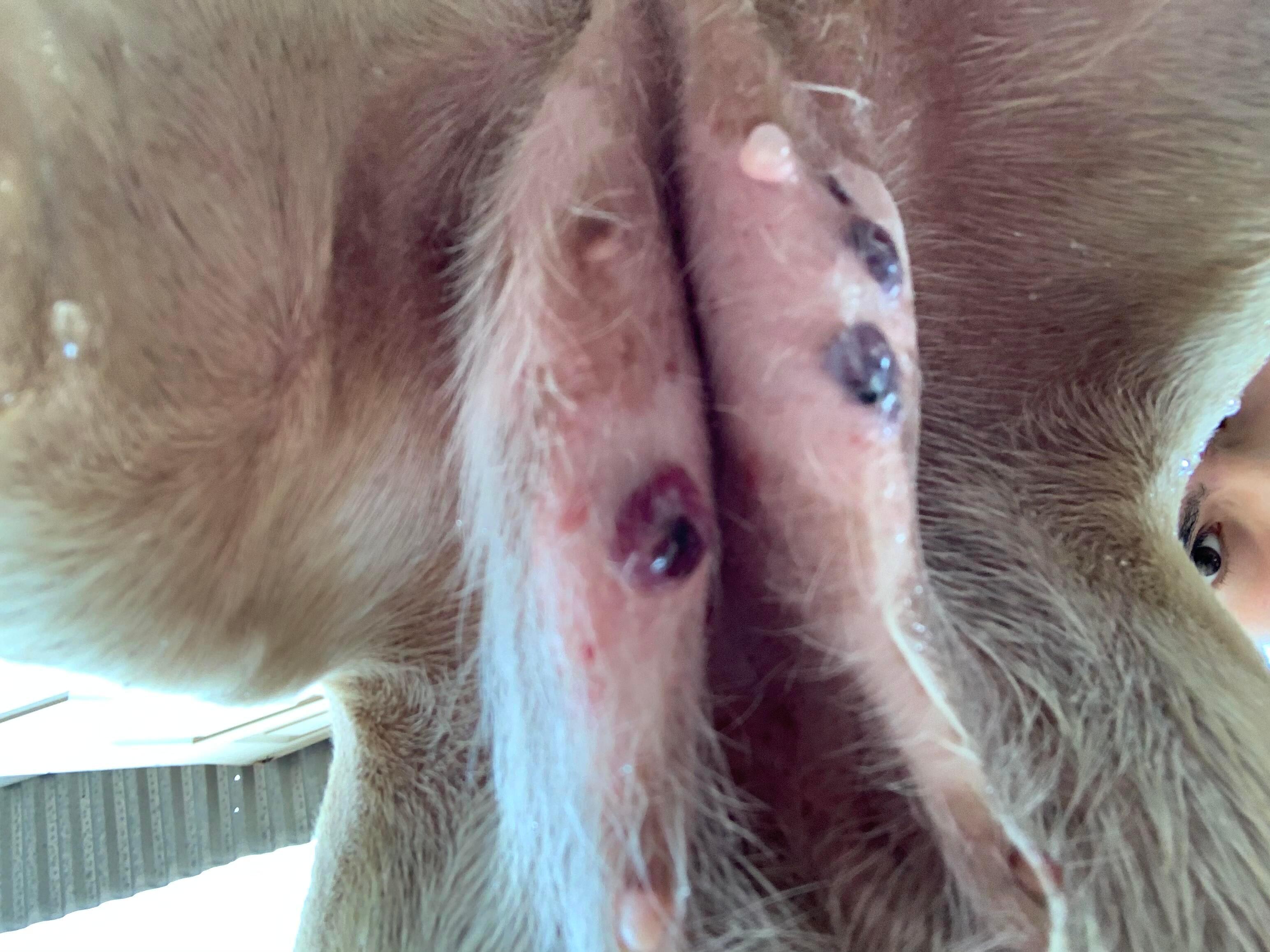 Question details sensitive content