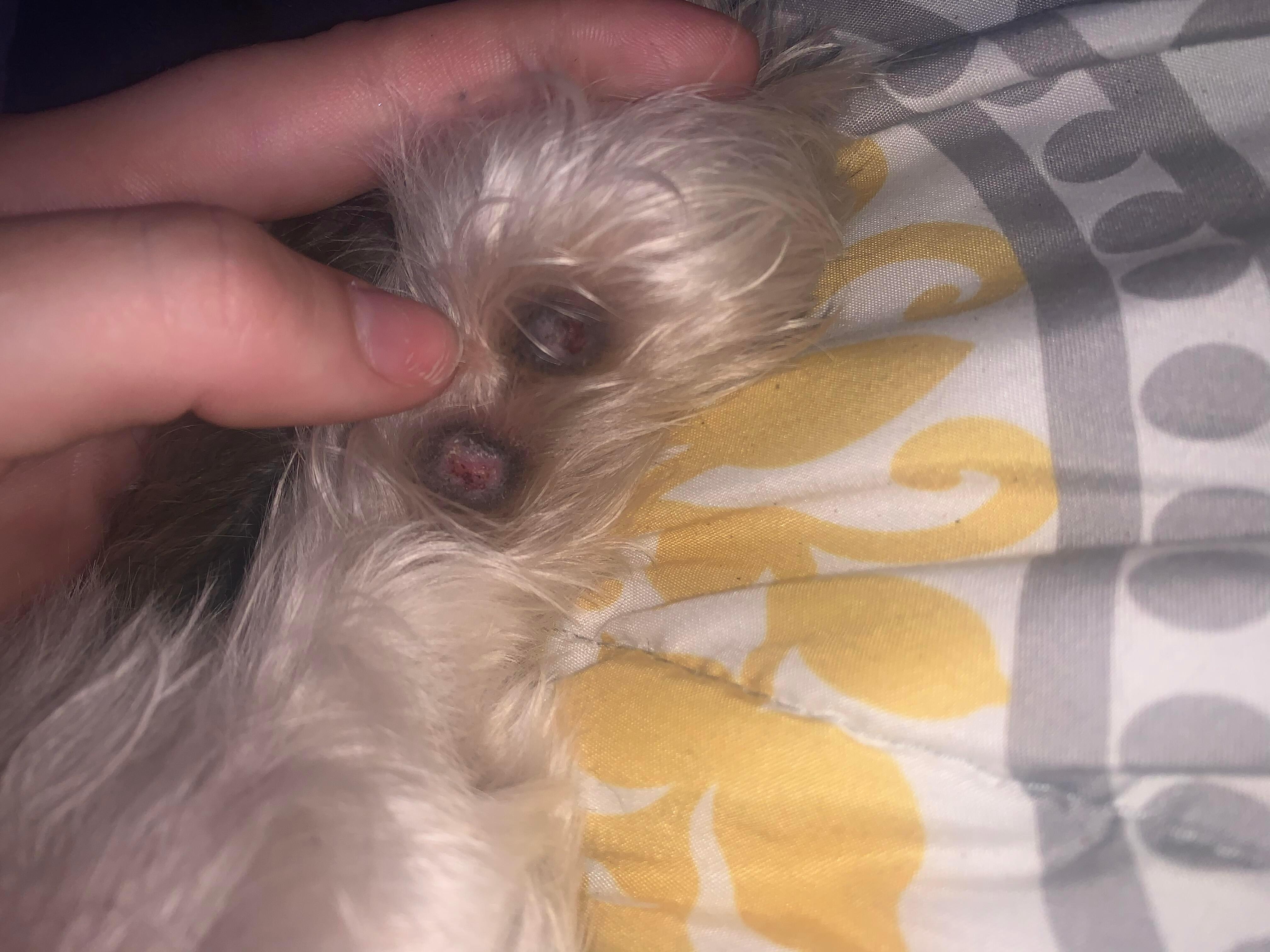 Question details sensitive content