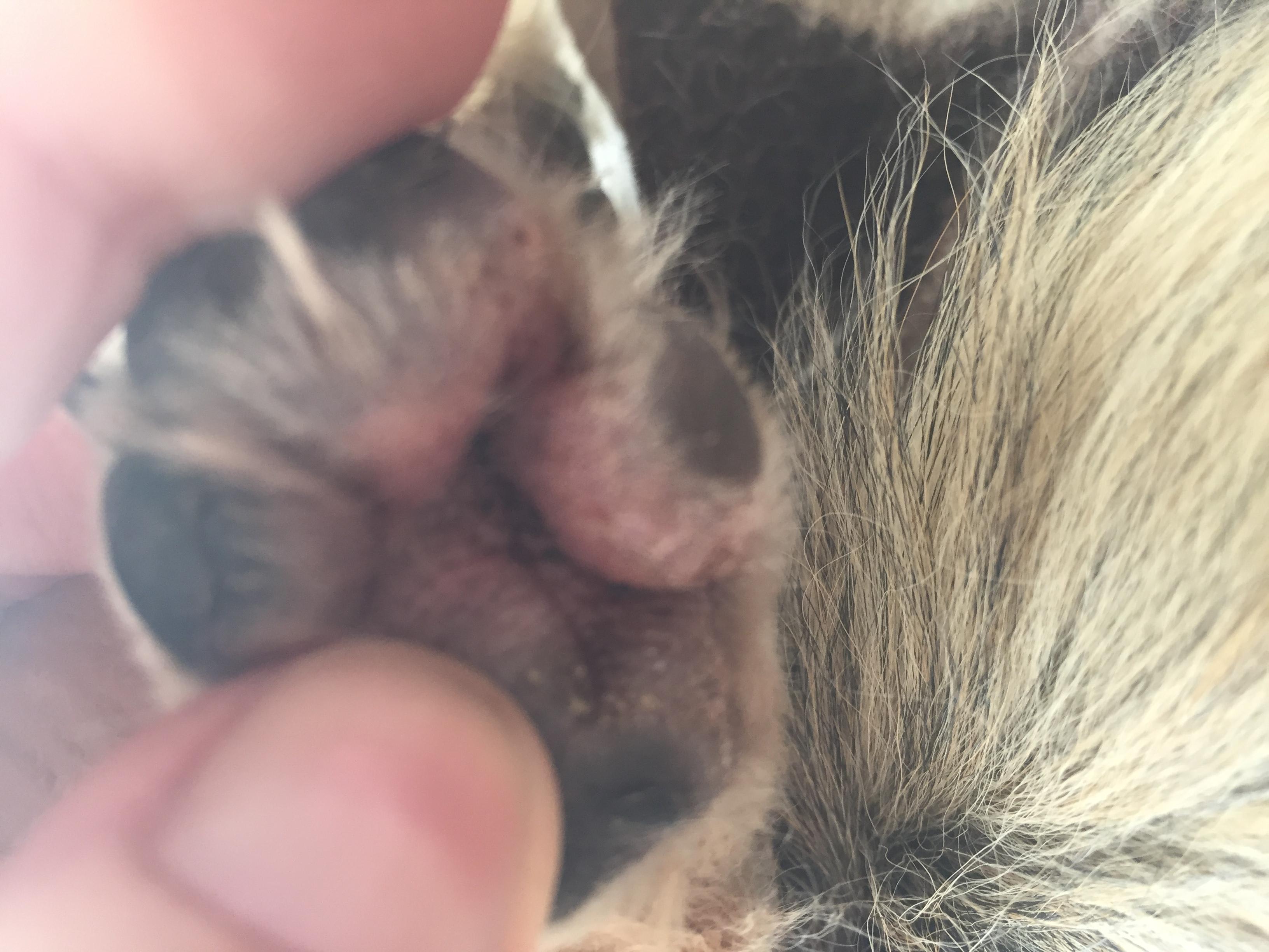 Question details sensitive content