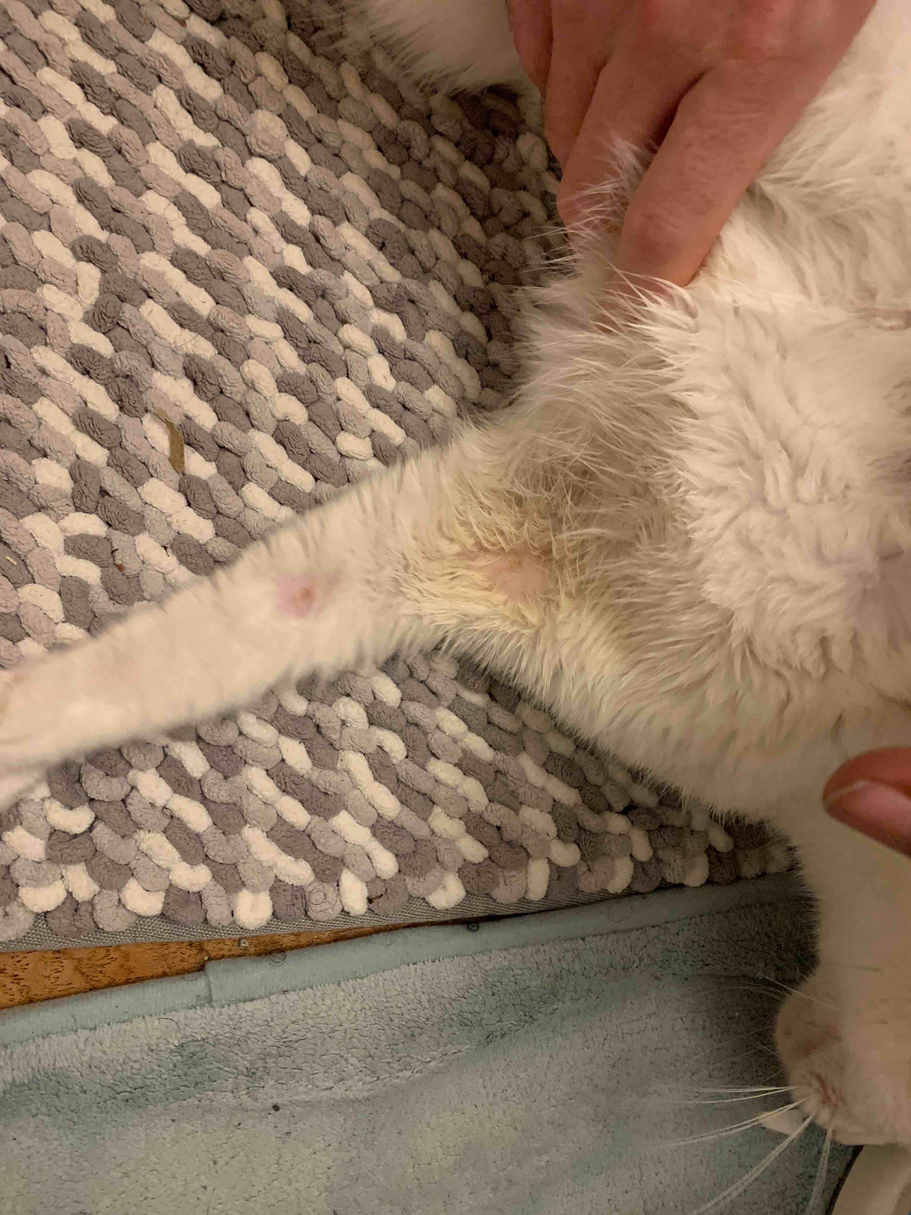 Question details sensitive content