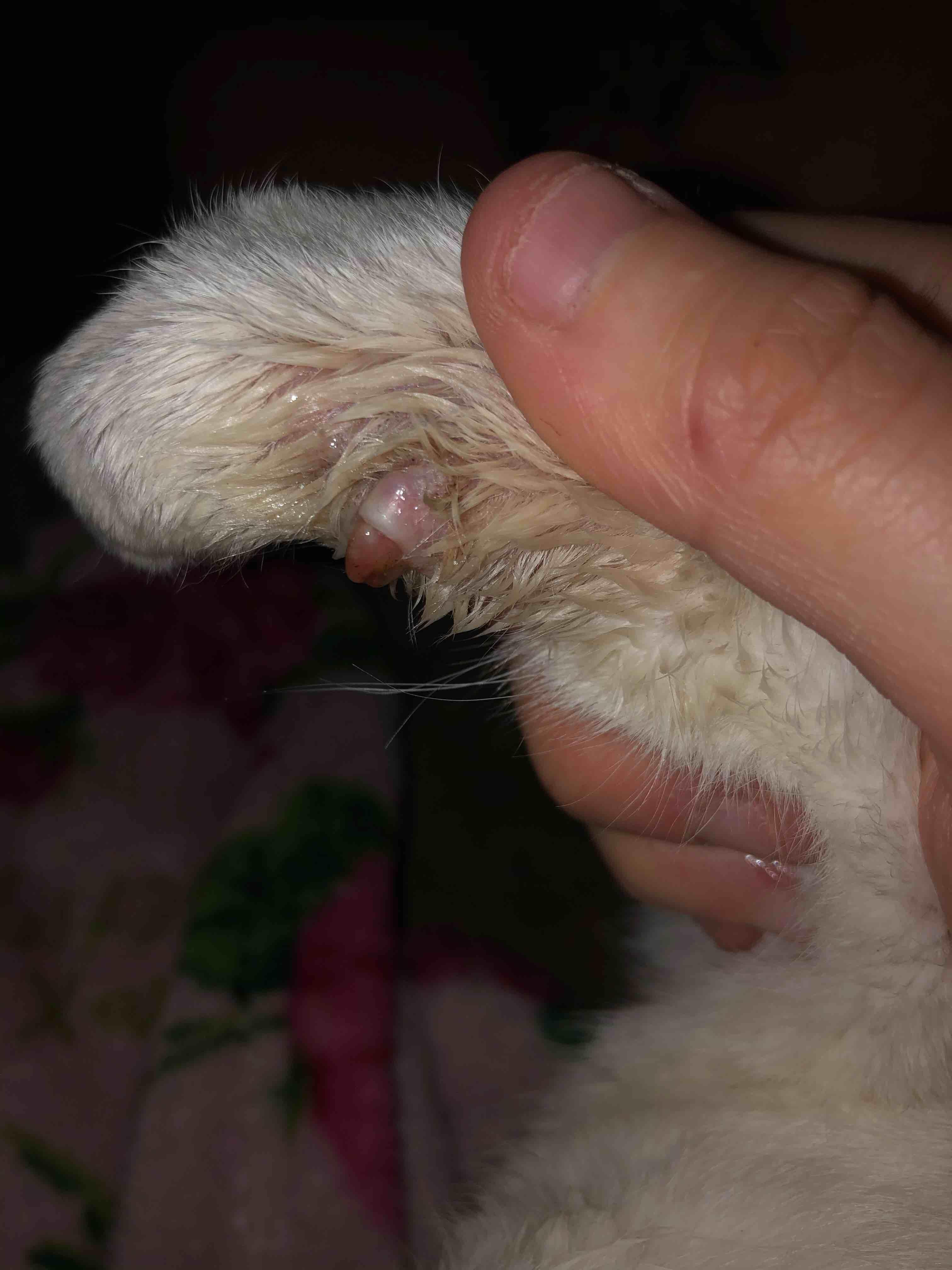 Question details sensitive content