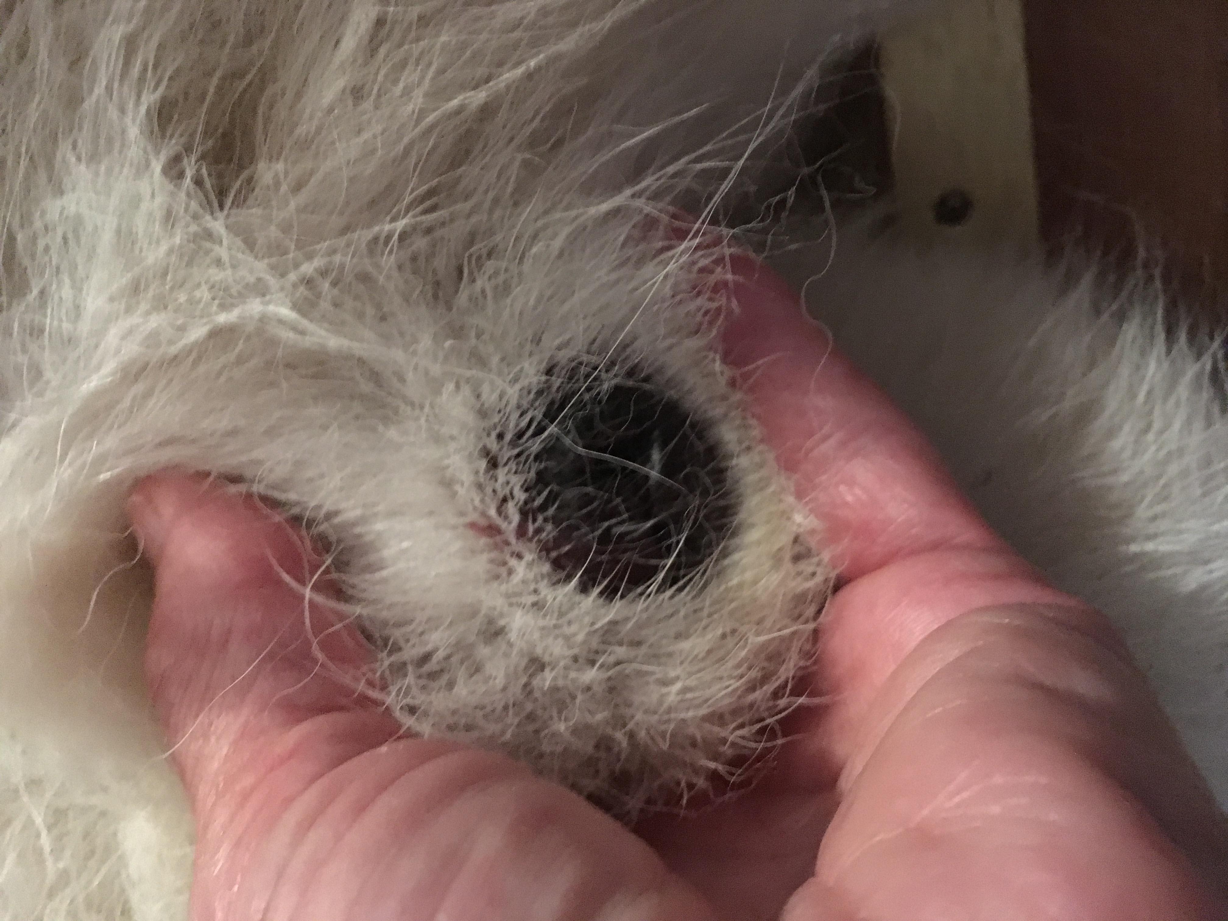 Question details sensitive content