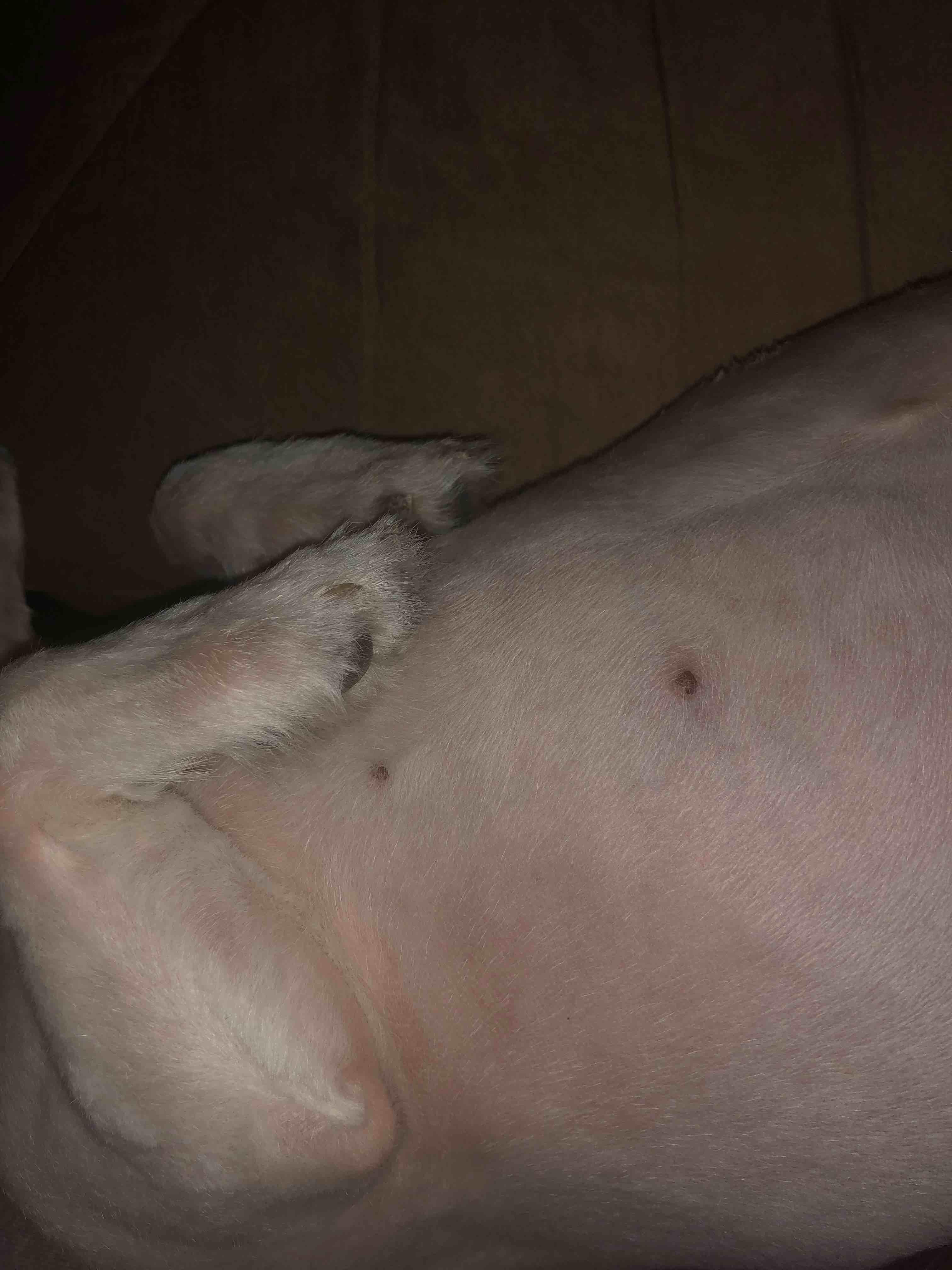 Question details sensitive content