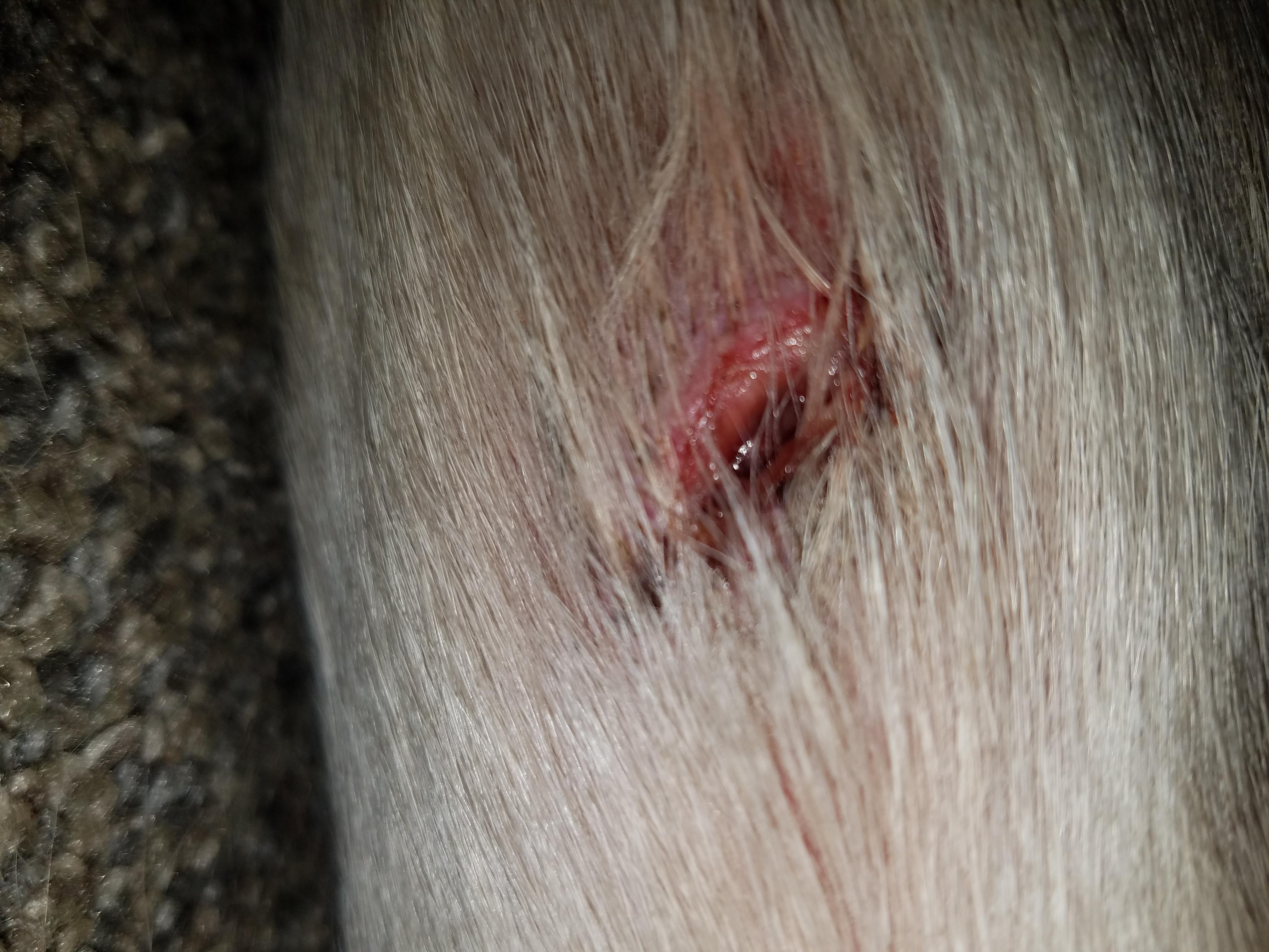 Question details sensitive content