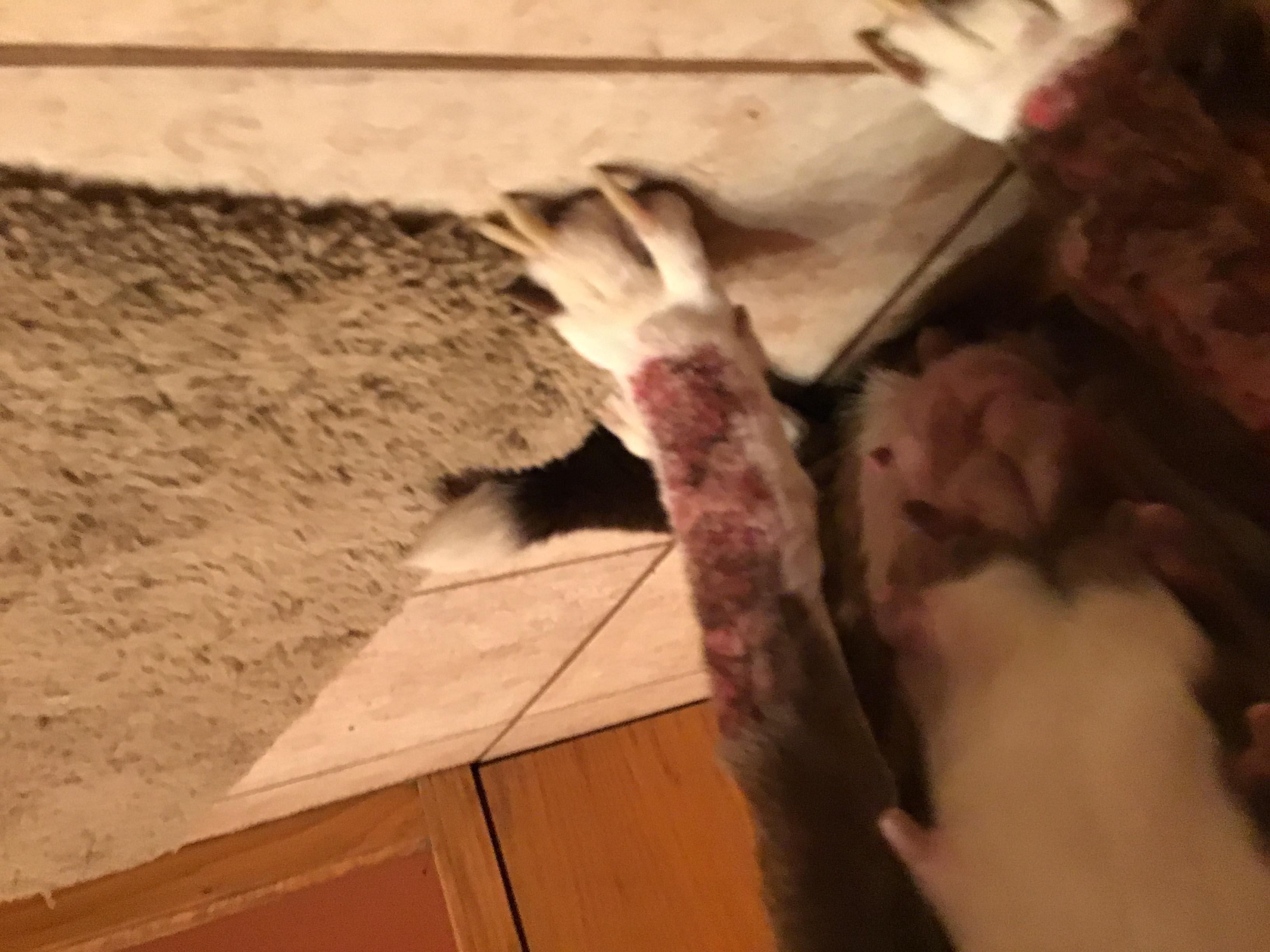 Question details sensitive content