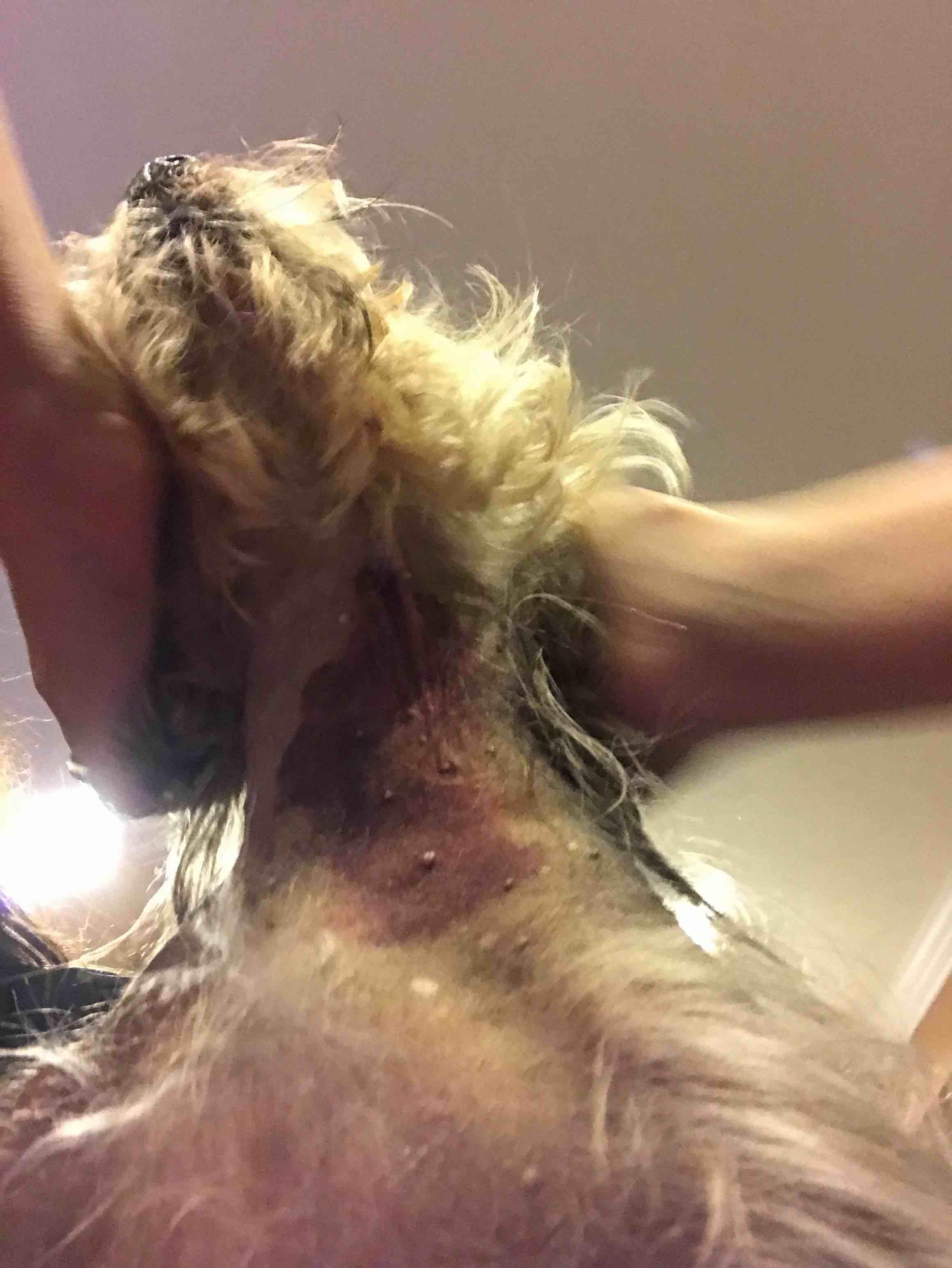 Question details sensitive content