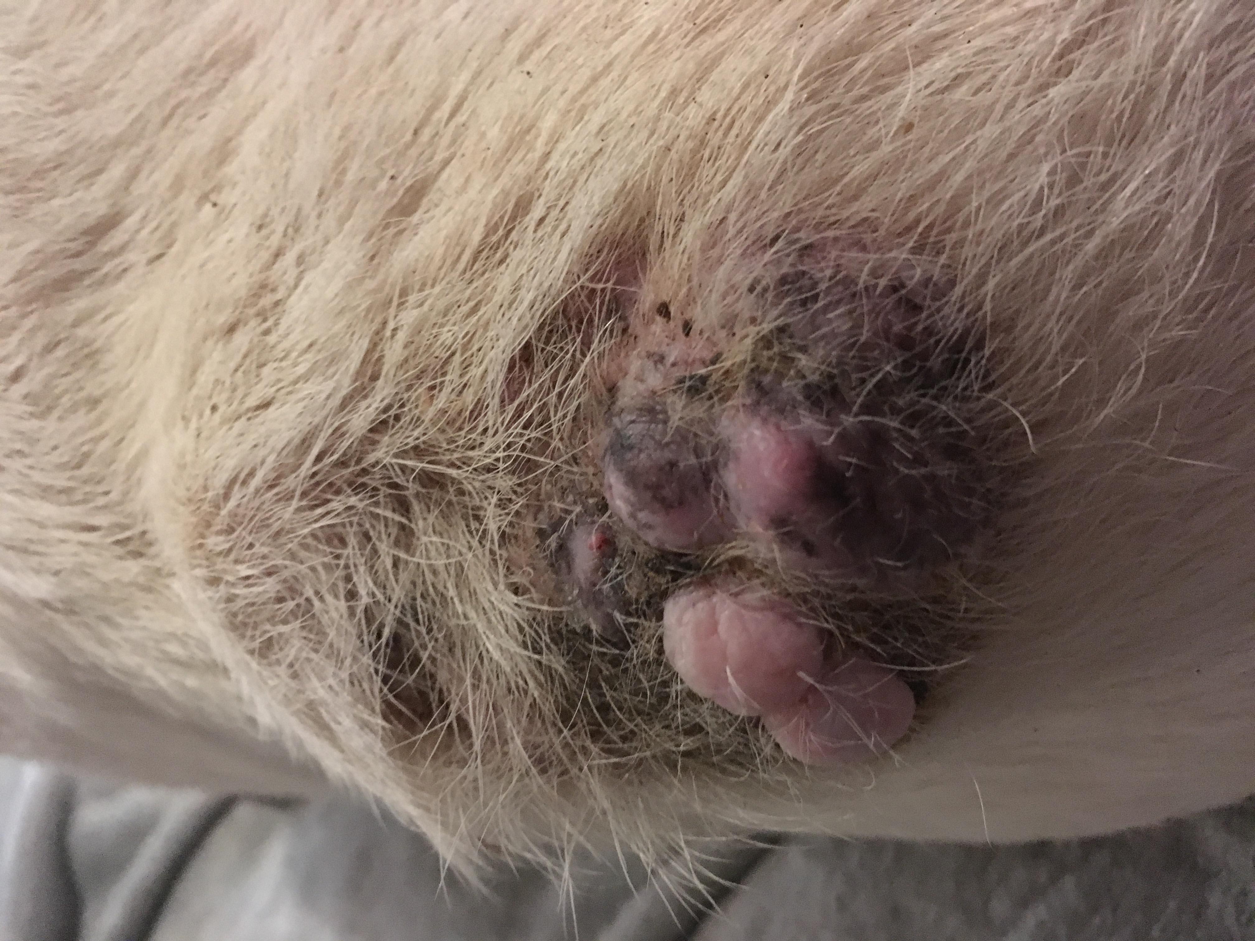 Question details sensitive content