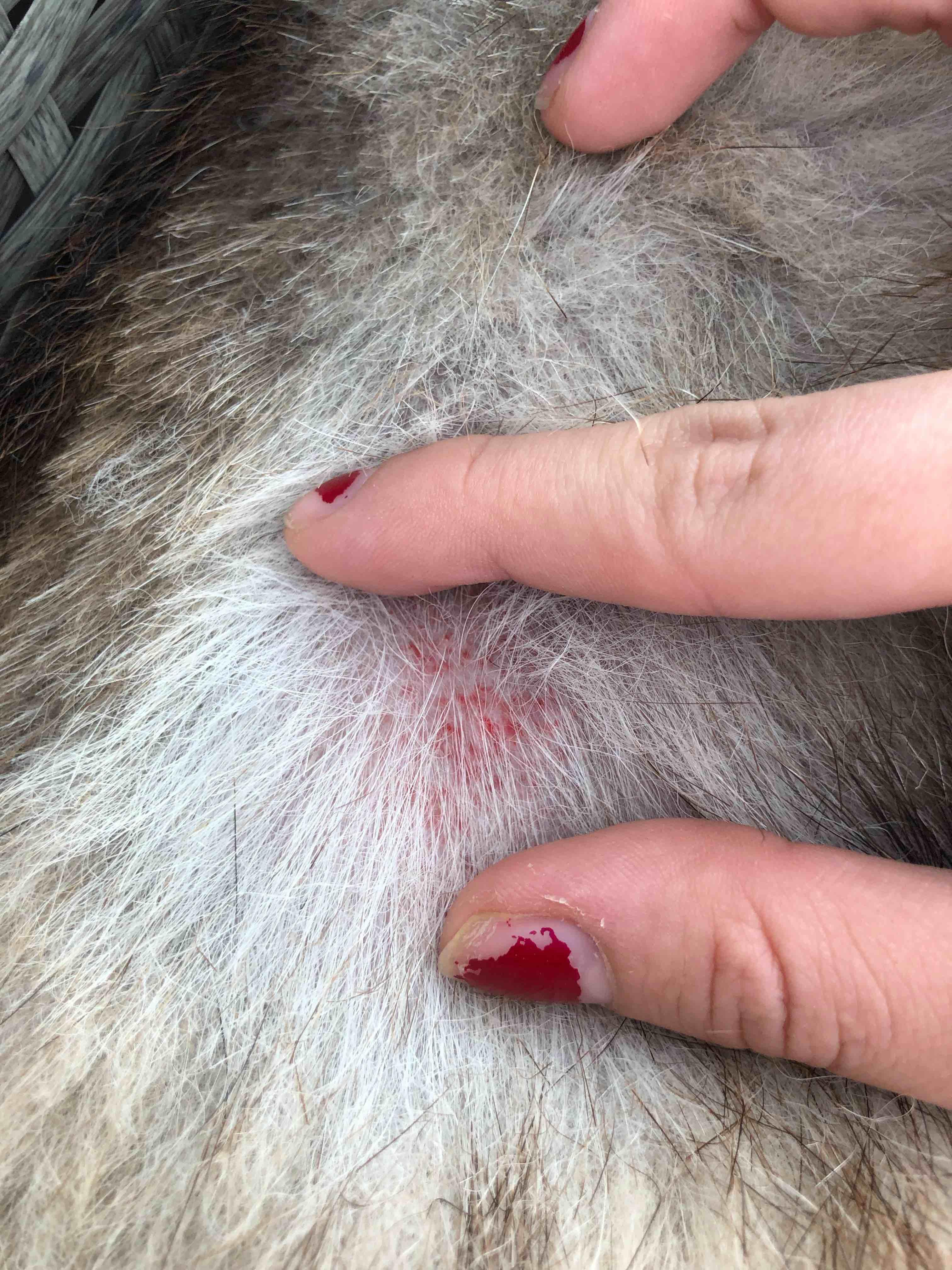 Question details sensitive content