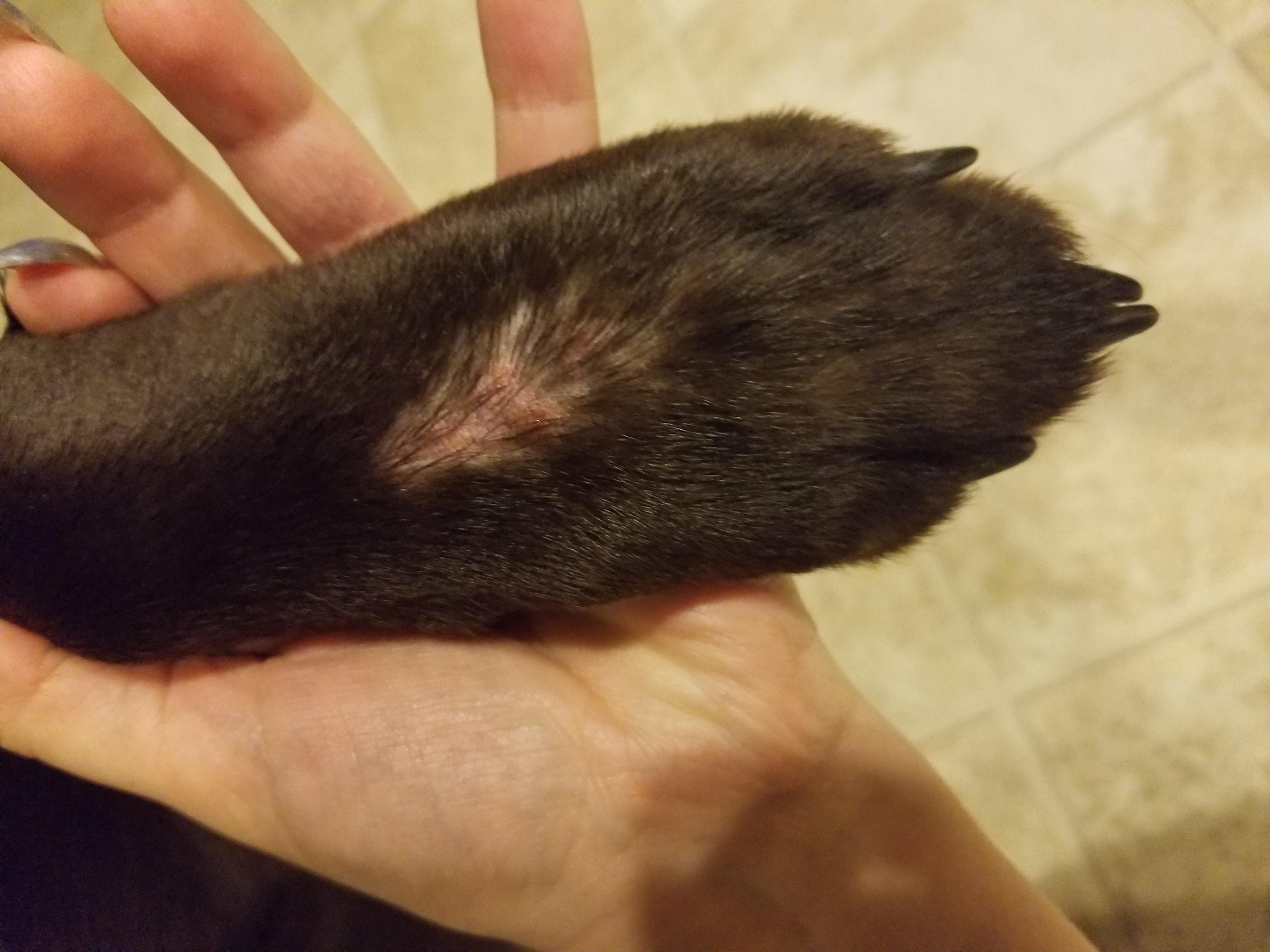 Question details sensitive content