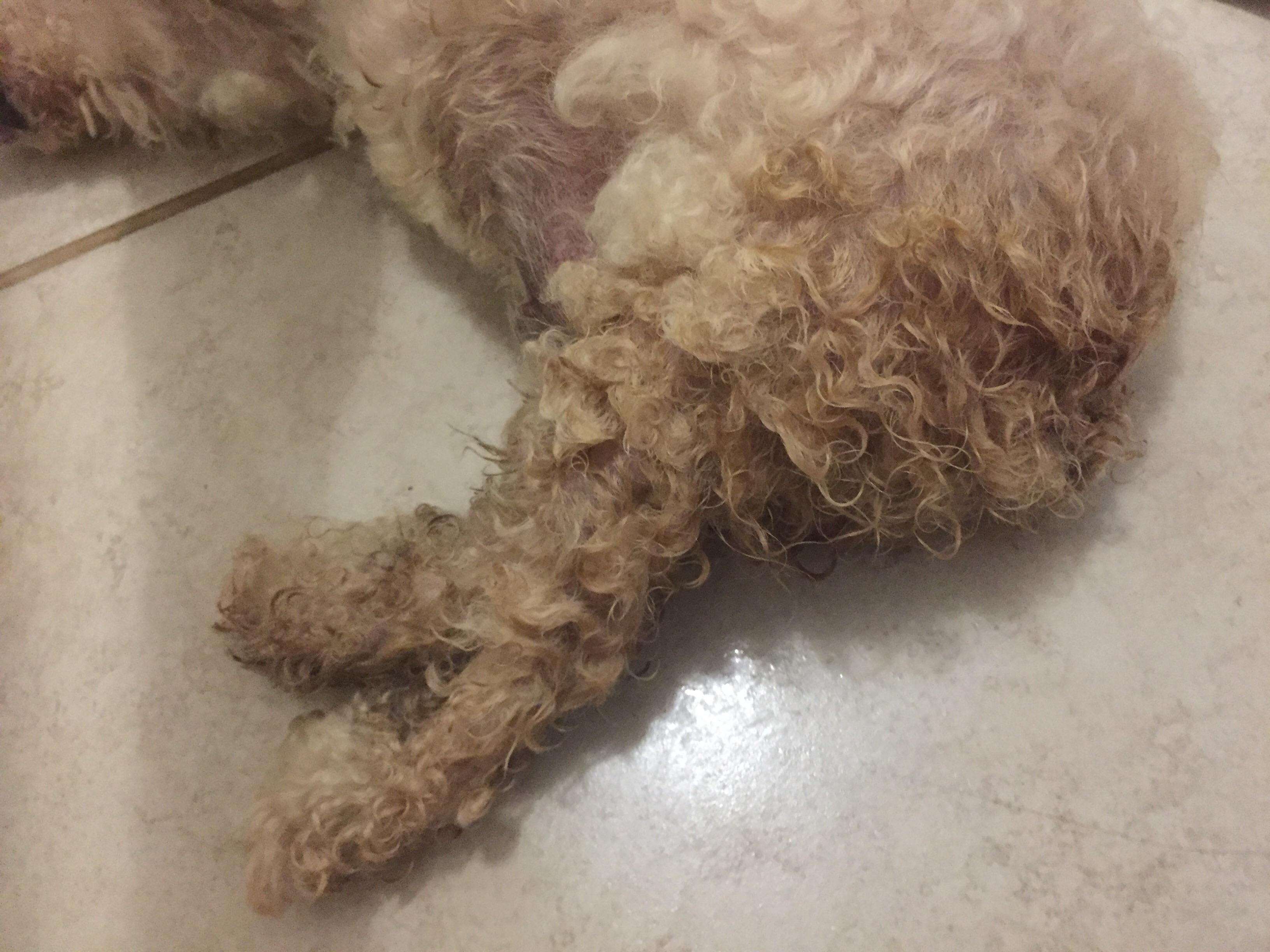 Question details sensitive content