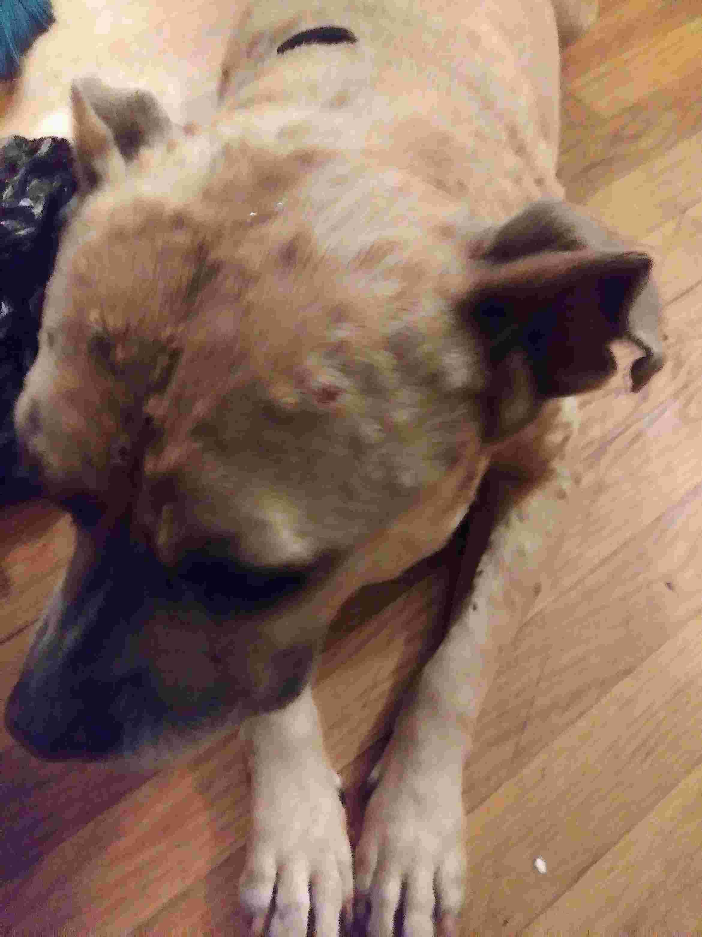 Question details sensitive content