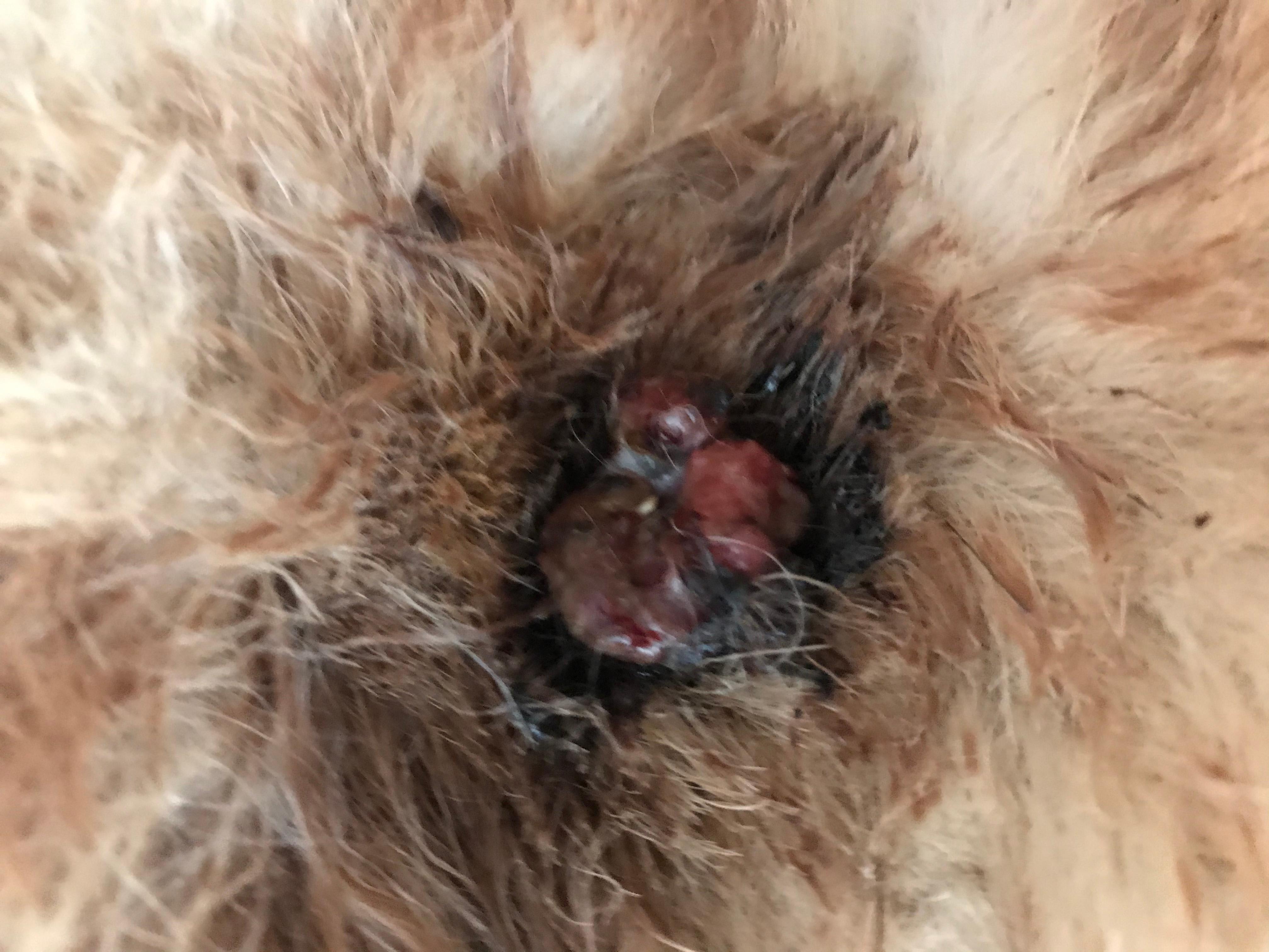 Question details sensitive content