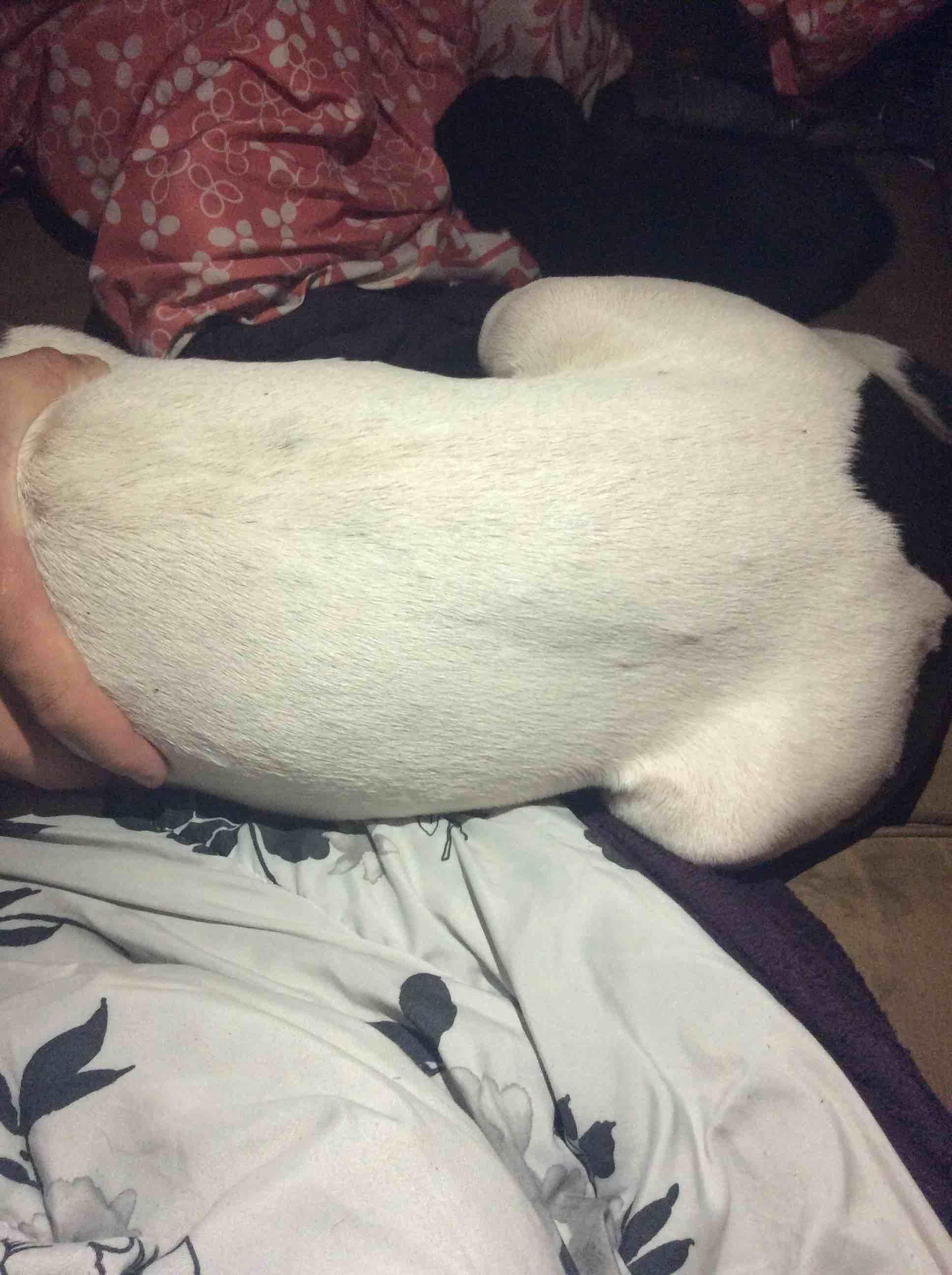 Question details sensitive content