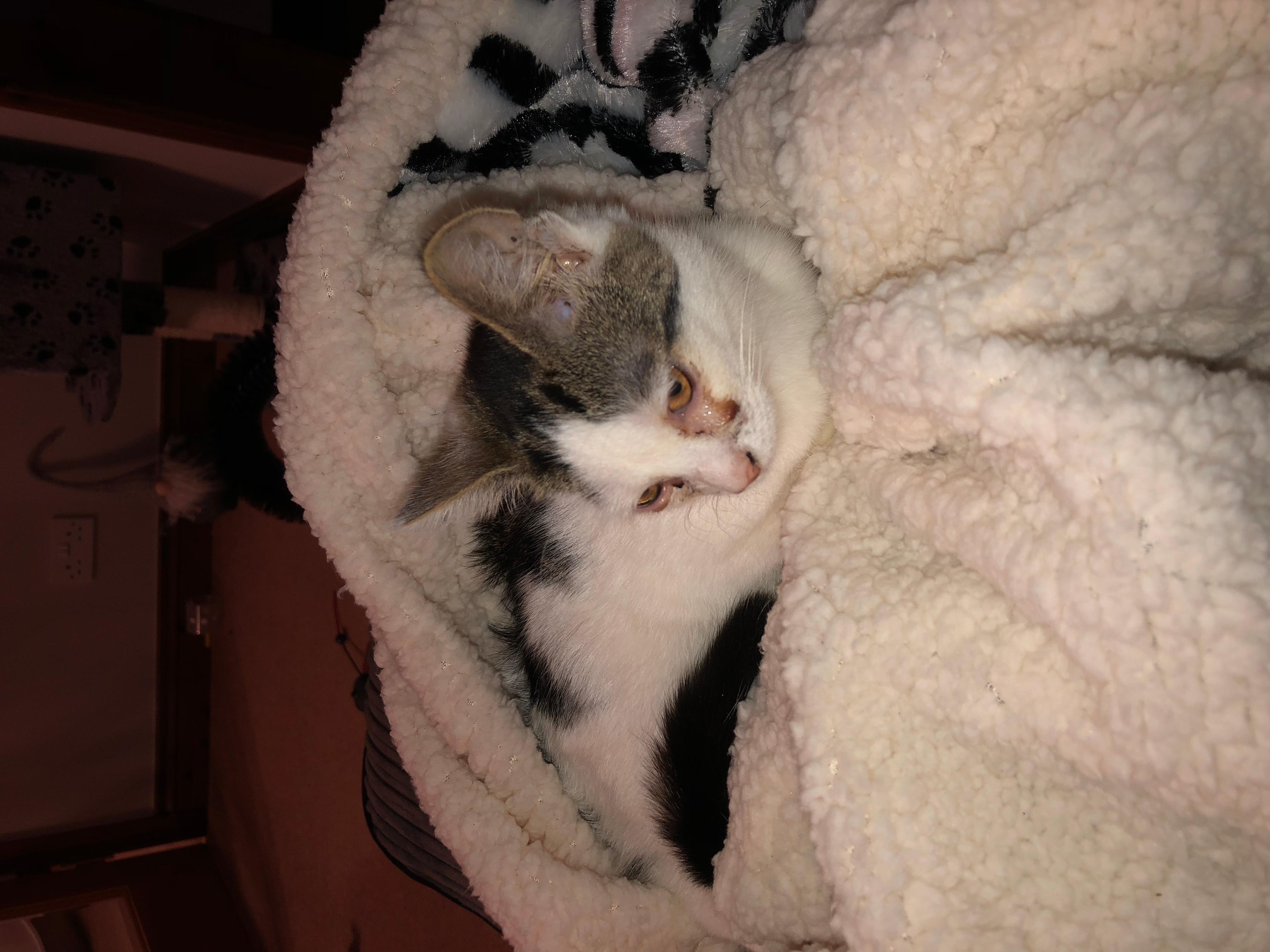 Question details sensitive content