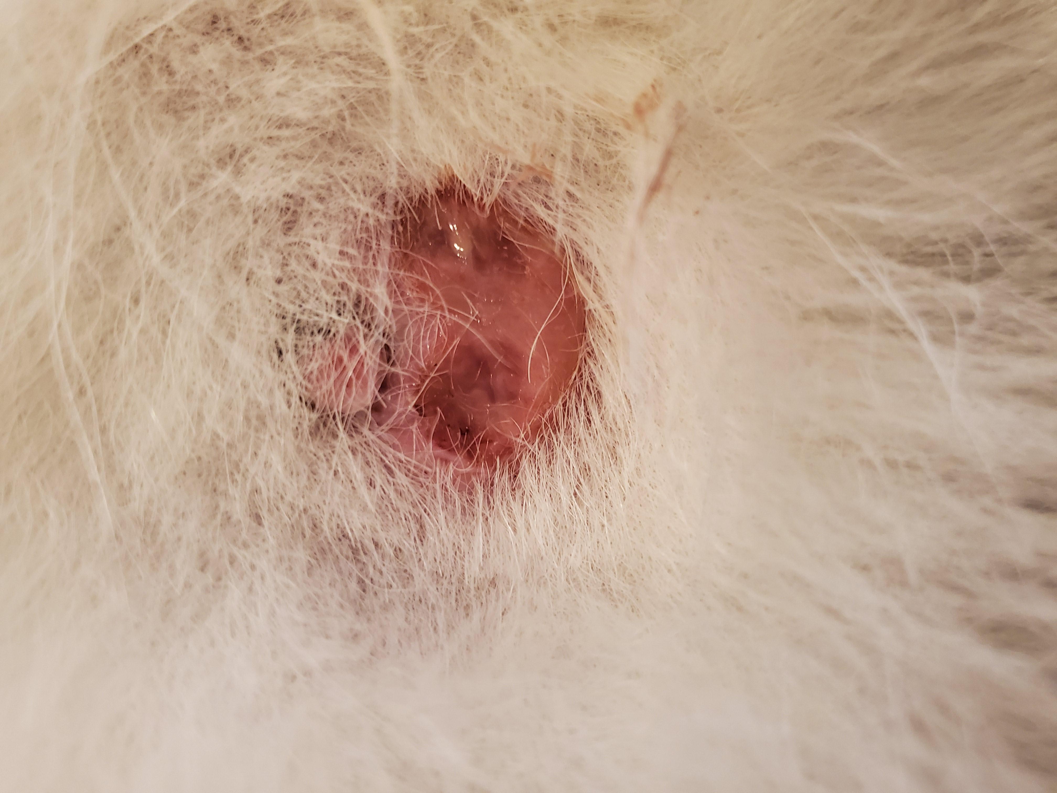 Question details sensitive content