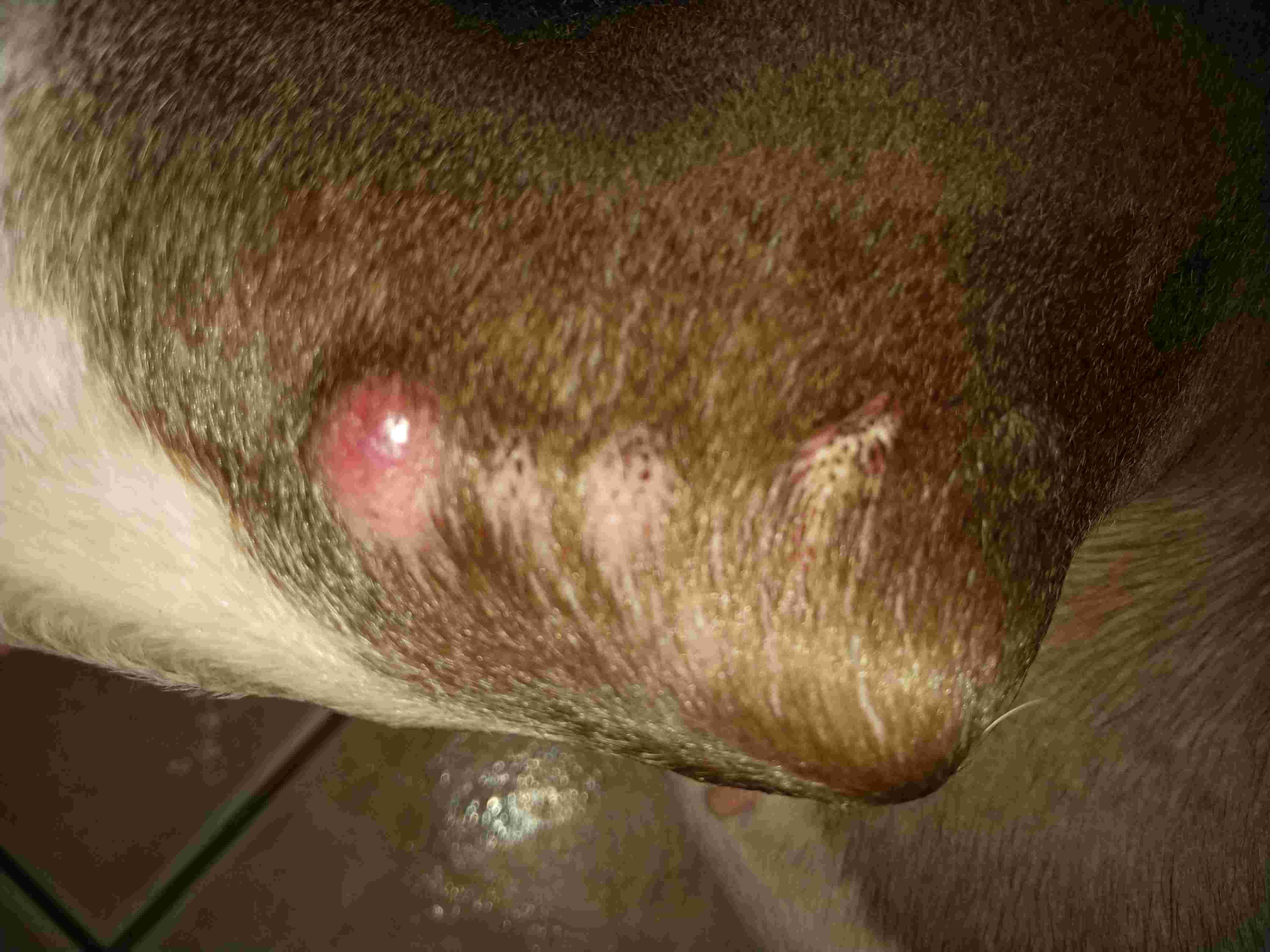 Question details sensitive content