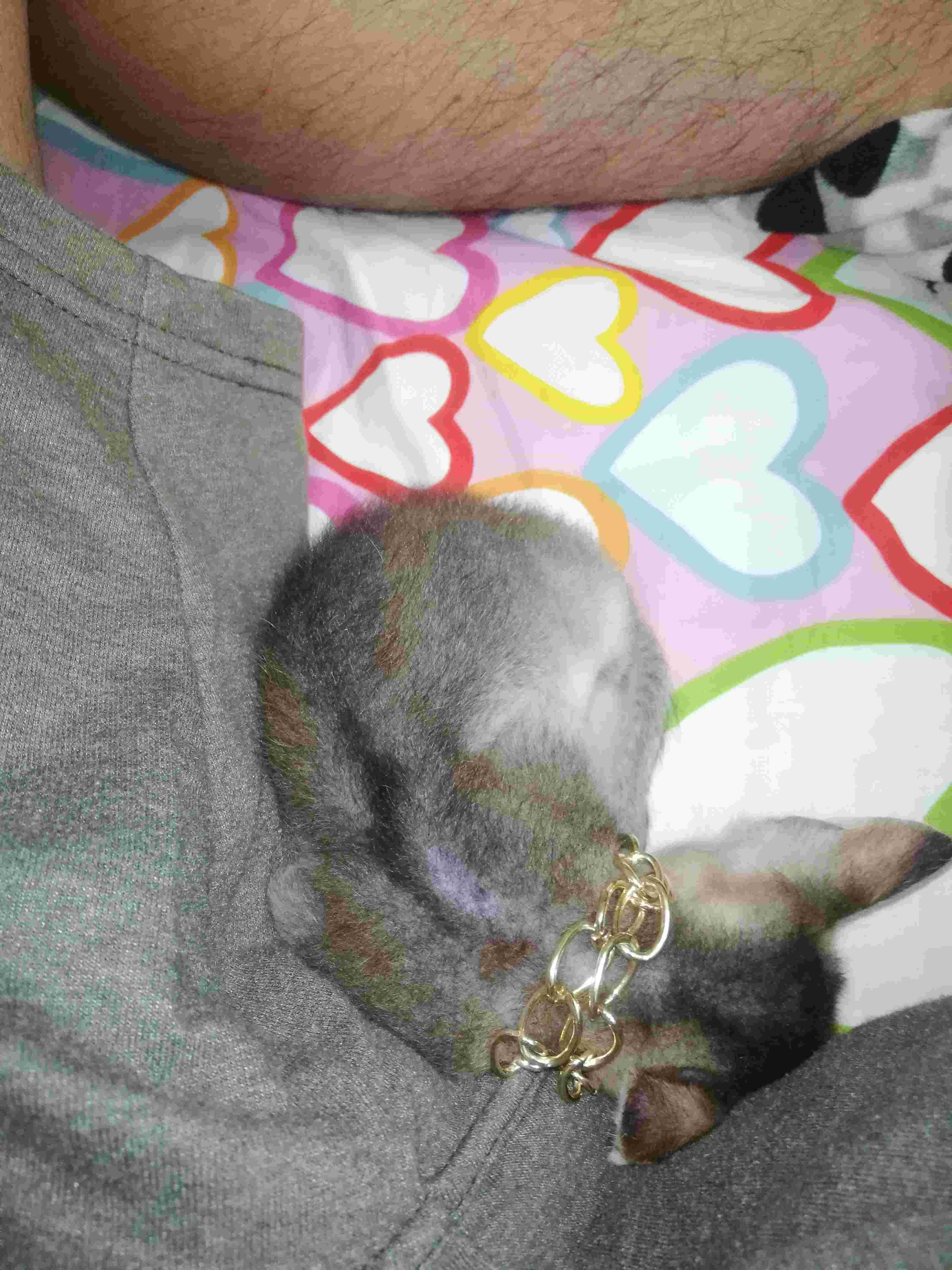 Question details sensitive content